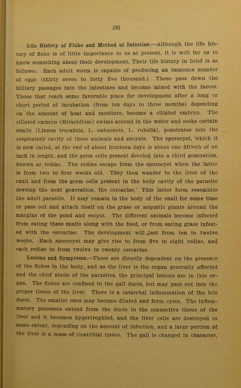 Life History of Fluke and Method of Infection—Although the life his- tory of fluke is of little importance to us at present, it is well for us to know something about their development. Their life history in brief is as follows: Each adult worm is capable of producing an immence number of eggs (thirty seven to forty five thousand.) These pass down the billiary passages into the intestines and become mixed with the faeces. Those that reach some favorable place for development after a long or short period of incubation (from ten days to three months) depending on the amount of heat and mositure, become a ciliated embryo. The ciliated embryo (Miracidium) swims around in the water and seeks certain snails (Linnea trucatula, L. oahuensis, L. rubella), penetrates into the respiratory cavity of these animals and encysts. The sporocyst, ‘which it is now called, at the end of about fourteen days is about one fiftieth of an inch in length, and the germ cells present develop into a third generation, known as rediae. The rediae escape from the sporocyst when the latter is from two to four weeks old. They then wander to the liver of the snail and from the germ cells present in the body cavity of the parasite develop the next generation, the cercariae. This latter form resembles the adult parasite. It may remain in the body of the snail for some time or pass out and attach itself on the grass or acquatic plants around the margins of the pond and encyst. The different animals become infected from eating these snails along with the food, or from eating grass infest- ed with the cercariae. The development will Jast from ten to twelve weeks. Each sporocyst may give rise to from five to eight rediae, and each rediae to from twelve to twenty cercariae. Lesions and Symptoms.—These are directly dependent on the presence of the flukes in the body, and as the liver is the organ generally affected and the chief abode of the parasites, the principal lesions are in this or- gan. The flukes are confined to the gall ducts, but may pass out into the proper tissue of the liver. There is a catarrhal inflammation of the bile ducts. The smaller ones may become dilated and form cysts. The inflam- matory processes extend from the ducts to the connective tissue of the liver and it becomes hypertrophied, and the liver cells are destroyed to some extent, depending on the amount of infection, and a large portion of the liver is a mass of cicatritial tissue. The gall is changed in character,