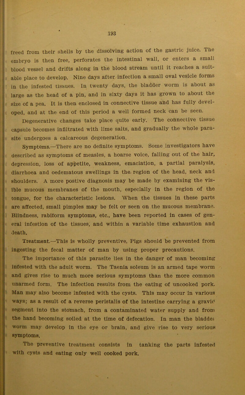 freed from their shells by the dissolving action of the gastiic juice. The embryo is then free, perforates the intestinal wall, or enters a small blood vessel and drifts along in the blood stream until it reaches a suit- able place to develop. Nine days after infection a small oval vesicle forms in the infested tissues. In twenty days, the bladder worm is about as large as the head of a pin, and in sixty days it has grown to about the size of a pea. It is then enclosed in connective tissue and has fully devel- oped, and at the end of this period a well formed neck can be seen. Degenerative changes take place quite early. The connective tissue capsule becomes infiltrated with lime salts, and gradually the whole para- site undergoes a calcareous degeneration. Symptoms.—There are no definite symptoms. Some investigators have described as symptoms of measles, a hoarse voice, falling out of the hair, depression, loss of appetite, weakness, emaciation, a partial paralysis, diarrhoea and oedematous swellings in the region of the head, neck and shoulders. A more postive diagnosis may be made by examining the vis- ible mucous membranes of the mouth, especially in the region of the tongue, for the characteristic lesions. When the tissues in these parts are affected, small pimples may be felt or seen on the mucous membrane. Blindness, rabiform symptoms, etc., have been reported in cases of gen- eral infestion of the tissues, and wuthin a variable time exhaustion and death. Treatment.—This is wholly preventive. Pigs should be prevented from ingesting the fecal matter of man by using proper precautions. The importance of this parasite lies in the danger of man becoming infested with the adult worm. The Taenia soleum is an armed tape worm and gives rise to much more serious symptoms than the more common unarmed form. The infection results from the eating of uncooked pork. Man may also become infested with the cysts. This may occur in various ways; as a result of a reverse peristalis of the intestine carrying a gravid segment into the stomach, from a contaminated water supply and from the hand becoming soiled at the time of defecation. In man the bladdei worm may develop in the eye or brain, and give rise to very serious symptoms. The preventive treatment consists in tanking the parts infested with cysts and eating only well cooked pork.