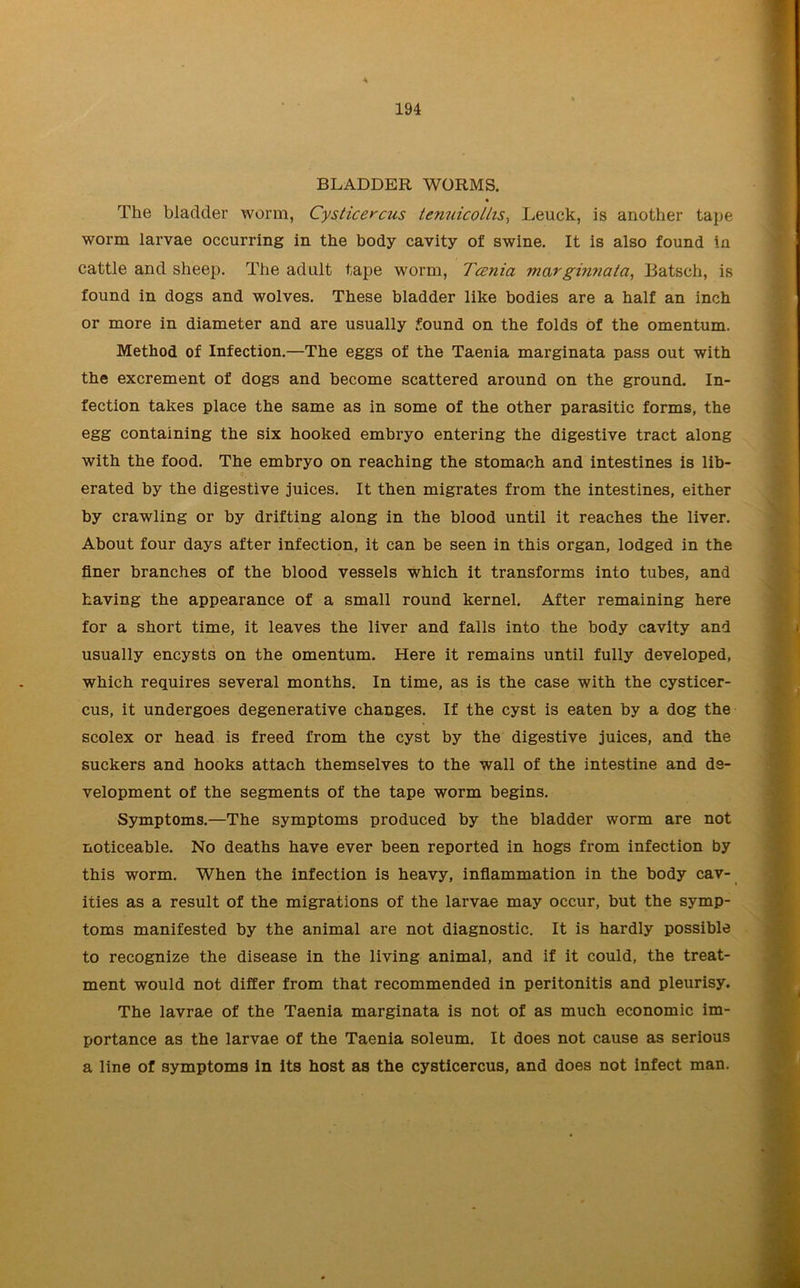 BLADDER WORMS. The bladder worm, Cysticercus tenuicollis, Leuck, is another tape worm larvae occurring in the body cavity of swine. It is also found in cattle and sheep. The adult tape worm, Taenia margmnata, Batsch, is found in dogs and wolves. These bladder like bodies are a half an inch or more in diameter and are usually found on the folds of the omentum. Method of Infection.—The eggs of the Taenia marginata pass out with the excrement of dogs and become scattered around on the ground. In- fection takes place the same as in some of the other parasitic forms, the egg containing the six hooked embryo entering the digestive tract along with the food. The embryo on reaching the stomach and intestines is lib- erated by the digestive juices. It then migrates from the intestines, either by crawling or by drifting along in the blood until it reaches the liver. About four days after infection, it can be seen in this organ, lodged in the finer branches of the blood vessels which it transforms into tubes, and having the appearance of a small round kernel. After remaining here for a short time, it leaves the liver and falls into the body cavity and usually encysts on the omentum. Here it remains until fully developed, which requires several months. In time, as is the case with the cysticer- cus, it undergoes degenerative changes. If the cyst is eaten by a dog the scolex or head is freed from the cyst by the digestive juices, and the suckers and hooks attach themselves to the wall of the intestine and de- velopment of the segments of the tape worm begins. Symptoms.—The symptoms produced by the bladder worm are not noticeable. No deaths have ever been reported in hogs from infection by this worm. When the infection is heavy, inflammation in the body cav- ities as a result of the migrations of the larvae may occur, but the symp- toms manifested by the animal are not diagnostic. It is hardly possible to recognize the disease in the living animal, and if it could, the treat- ment would not differ from that recommended in peritonitis and pleurisy. The lavrae of the Taenia marginata is not of as much economic im- portance as the larvae of the Taenia soleum. It does not cause as serious a line of symptoms in its host as the cysticercus, and does not infect man.