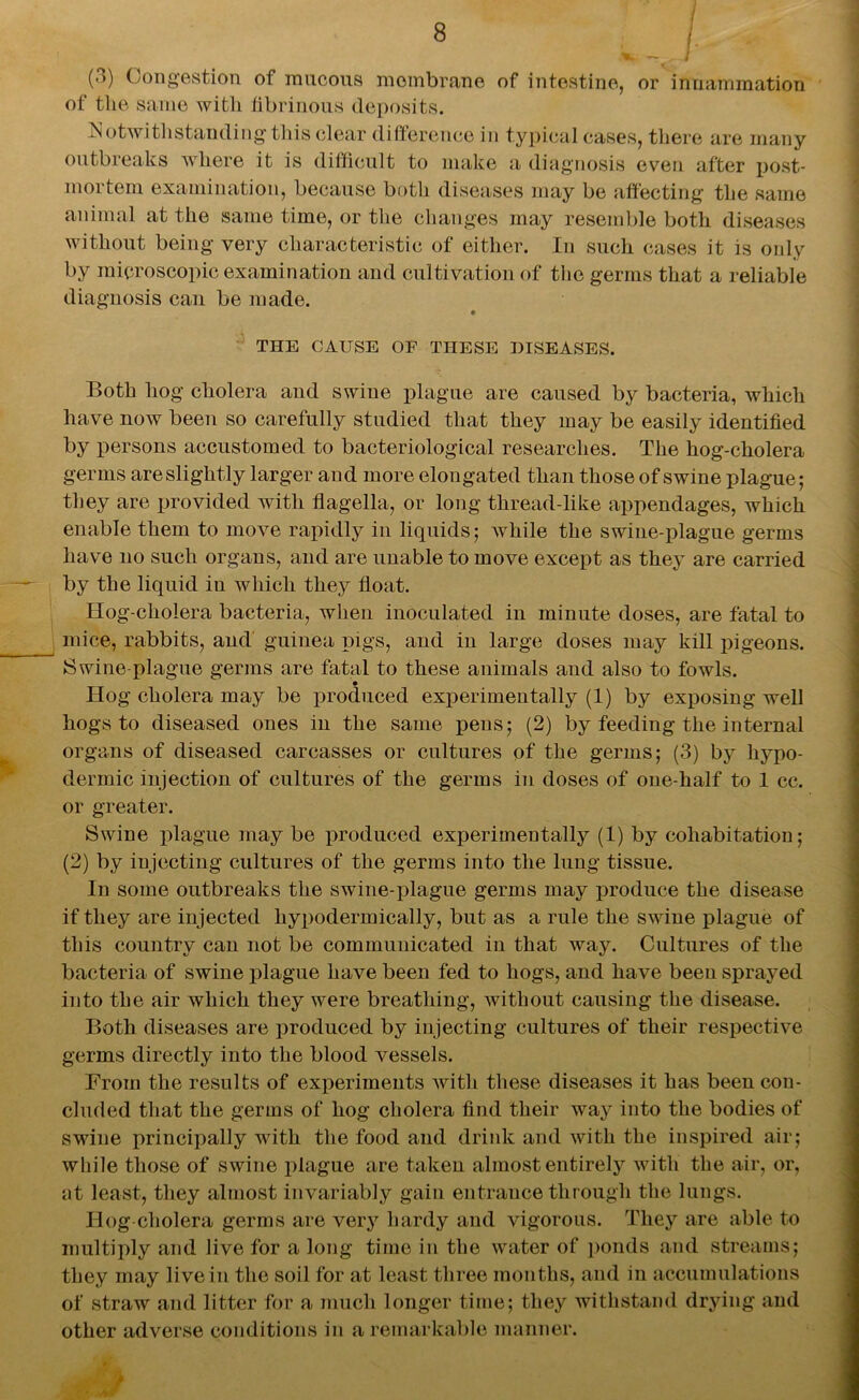 ■ X. — (3) Congestion of mucous membrane of intestine, or innammation of the same with fibrinous deposits. ^Notwithstanding this clear difference in typical cases, there are many outbreaks where it is difficult to make a diagnosis even after post- mortem examination, because both diseases may be affecting the same animal at the same time, or the changes may resemble both diseases without being very characteristic of either. In such cases it is only by microscopic examination and cultivation of the germs that a reliable diagnosis can be made. THE CAUSE OF THESE DISEASES. Both liog cholera and swine plague are caused by bacteria, which have now been so carefully studied that they may be easily identified by persons accustomed to bacteriological researches. The hog-cholera germs areslightly larger and more elongated than those of swine plague; they are provided with flagella, or long thread-like appendages, which enable them to move rapidly in liquids; while the swine-plague germs have no such organs, and are unable to move except as they are carried by the liquid in which they float. Hog-cholera bacteria, when inoculated in minute doses, are fatal to mice, rabbits, and guinea pigs, and in large doses may kill pigeons. Swine-plague germs are fatal to these animals and also to fowls. Hog cholera may be produced experimentally (1) by exposing well hogs to diseased ones in the same pens; (2) by feeding the internal organs of diseased carcasses or cultures of the germs; (3) by hypo- dermic injection of cultures of the germs in doses of one-half to 1 cc. or greater. Swine plague may be produced experimentally (1) by cohabitation; (2) by injecting cultures of the germs into the lung tissue. In some outbreaks the swine-plague germs may produce the disease if they are injected hypodermically, but as a rule the swine plague of this country can not be communicated in that way. Cultures of the bacteria of swine plague have been fed to hogs, and have been sprayed into the air which they were breathing, without causing the disease. Both diseases are produced by injecting cultures of their respective germs directly into the blood vessels. From the results of experiments with these diseases it has been con- cluded that the germs of hog cholera find their way into the bodies of swine principally with the food and drink and with the inspired air; while those of swine plague are taken almost entirely with the air, or, at least, they almost invariably gain entrance through the lungs. Hog cholera germs are very hardy and vigorous. They are able to multiply and live for a long time in the water of ponds and streams; they may live in the soil for at least three months, and in accumulations of straw and litter for a much longer time; they withstand drying and other adverse conditions in a remarkable manner.