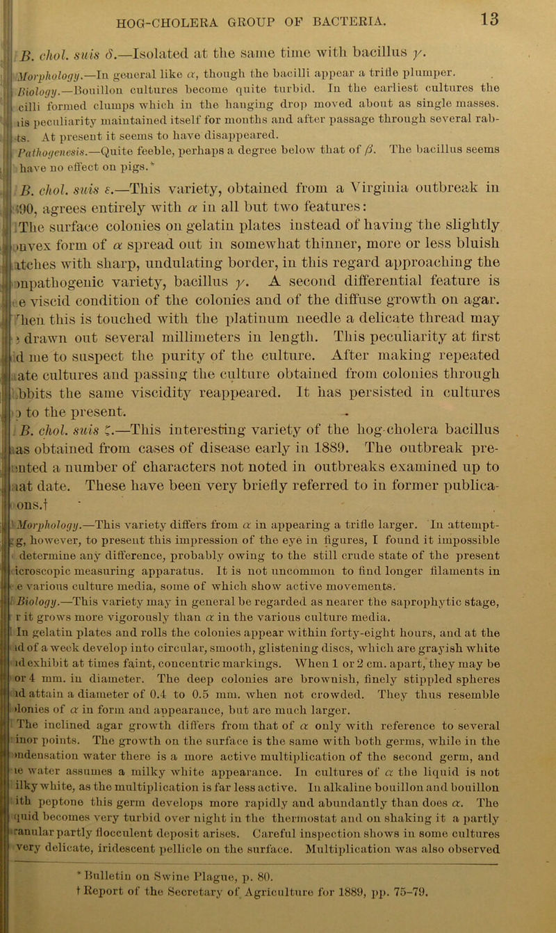 IB. cliol. suis 6.—Isolated at the same time with bacillus y. Morphology.—In general like a, though the bacilli appear a tritle plumper. Biology.—Bouillon cultures become quite turbicl. In the earliest cultures the cilli formed clumps which in the hanging drop moved about as single masses, lis peculiarity maintained itself for months and after passage through several rab- ts. At present it seems to have disappeared. Pathogenesis.—Quite feeble, perhaps a degree below that of (3. The bacillus seems have no effect on pigs.* B. chol. suis s.—This variety, obtained from a Virginia outbreak in <90, agrees entirely with a in all but two features: The surface colonies on gelatin plates instead of having the slightly mvex form of a spread out in somewhat thinner, more or less bluish itches with sharp, undulating border, in this regard approaching the mpathogenic variety, bacillus y. A second differential feature is e viscid condition of the colonies and of the diffuse growth on agar. rhen this is touched with the platinum needle a delicate thread may » drawn out several millimeters in length. This peculiarity at first d me to suspect the purity of the culture. After making repeated ate cultures and passing the culture obtained from colonies through ,bbits the same viscidity reappeared. It has persisted in cultures d to the present. B. chol. suis C.—This interesting variety of the hog cholera bacillus as obtained from cases of disease early in 1889. The outbreak pre- >11 ted a number of characters not noted in outbreaks examined up to aat date. These have been very briefly referred to in former publica- ons.t Morphology.—This variety differs from a in appearing a trifle larger. In attempt- . g, however, to present this impression of the eye in figures, I found it impossible determine any difference, probably owing to the still crude state of the present icroscopic measuring apparatus. It is not uncommon to find longer filaments in • e various culture media, some of which show active movements. ' Biology.—This variety may in general be regarded as nearer the saprophytic stage, r it grows more vigorously than a in the various culture media. In gelatin plates and rolls the colonies appear within forty-eight hours, and at the id of a week develop into circular, smooth, glisteniug discs, which are grayish white id exhibit at times faint, concentric markings. When 1 or 2 cm. apart, they may be or 4 mm. in diameter. The deep colonies are brownish, finely stippled spheres id attain a diameter of 0.4 to 0.5 mm. when not crowded. They thus resemble •lonies of a in form and appearance, but are much larger. The inclined agar growth differs from that of a only with reference to several inor points. The growth on the surface is the same with both germs, while in the mdensation water there is a more active multiplication of the second germ, and le water assumes a milky white appearance. In cultures of a the liquid is not ilky white, as the multiplication is far less active. In alkaline bouillon and bouillon ith peptone this germ develops more rapidly and abundantly than does a. The rjuid becomes very turbid over night in the thermostat aud on shaking it a partly ranular partly llocculent deposit arises. Careful inspection shows in some cultures very delicate, iridescent pellicle on the surface. Multiplication was also observed * Bulletin on Swine Plague, p. 80. t Report of the Secretary of Agriculture for 1889, pp. 75-79,