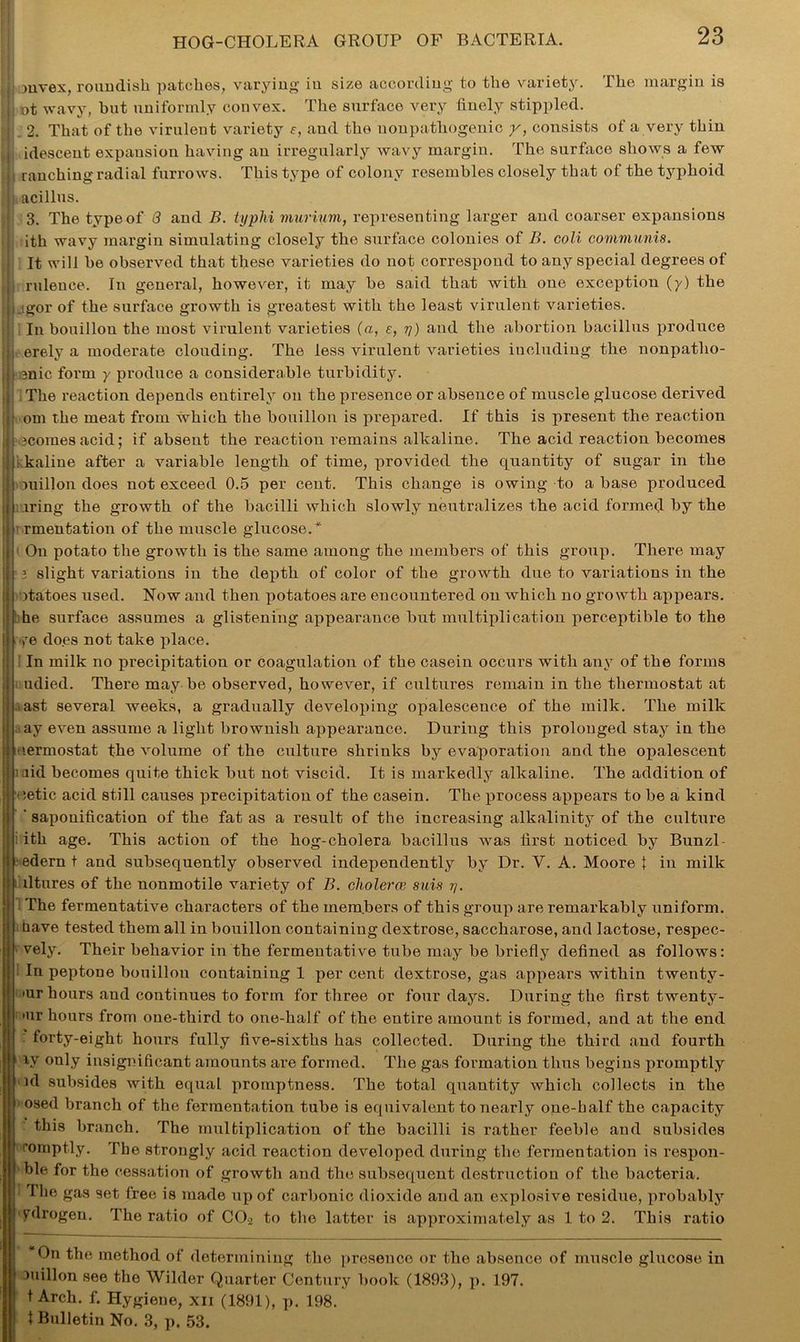 mvex, roundish patches, varying in size according to the variety. The margin is ot wavy, hut uniformly convex. The surface very finely stippled. 2. That of the virulent variety f, and the non pathogenic y, consists of a very thin idesceut expansion having an irregularly wavy margin. The surface shows a few ranching radial furrows. This type of colony resembles closely that of the typhoid acillus. 3. The type of 8 and B. typhi murium, representing larger and coarser expansions ith wavy margin simulating closely the surface colonies of B. coli communis. It will be observed that these varieties do not correspond to any special degrees of ruleuce. In general, however, it may be said that with one exception (y) the .igor of the surface growth is greatest with the least virulent varieties. In bouillon the most virulent varieties (a, s, y) and the abortion bacillus produce erely a moderate clouding. The less virulent varieties including the nonpatho- mic form y produce a considerable turbidity. The reaction depends entirely on the presence or absence of muscle glucose derived om the meat from which the bouillon is prepared. If this is present the reaction jcoraesacid; if absent the reaction remains alkaline. The acid reaction becomes kaline after a variable length of time, provided the quantity of sugar in the millon does not exceed 0.5 per cent. This change is owing to a base produced iring the growth of the bacilli which slowly neutralizes the acid formed by the rmentation of the muscle glucose.*1 ( On potato the growth is the same among the members of this group. There may i slight variations in the depth of color of the growth due to variations in the itatoes used. Now and then potatoes are encountered on which no growth appears, he surface assumes a glistening appearance but multiplication perceptible to the do.es not take place. In milk no precipitation or coagulation of the casein occurs with any of the forms udied. There may be observed, however, if cultures remain in the thermostat at ast several weeks, a gradually developing opalescence of the milk. The milk ay even assume a light brownish appearance. During this prolonged stay in the nermostat the volume of the culture shrinks by evaporation and the opalescent mid becomes quite thick but not viscid. It is markedly alkaline. The addition of ietic acid still causes precipitation of the casein. The process appears to be a kind ‘saponification of the fat as a result of the increasing alkalinity of the culture ith age. This action of the hog-cholera bacillus was first noticed by Bunzl edern t and subsequently observed independently by Dr. Y. A. Moore t in milk iltures of the nonmotile variety of B. cholerce suis y. : The fermentative characters of the members of this group are remarkably uniform, cave tested them all in bouillon containing dextrose, saccharose, and lactose, respec- vely. Their behavior in the fermentative tube may be briefly defined as follows: In peptone bouillon containing 1 per cent dextrose, gas appears within twenty- mr hours and continues to form for three or four days. During the first twenty- nr hours from one-third to one-half of the entire amount is formed, and at the end : forty-eight hours fully five-sixths has collected. During the third and fourth iv only insignificant amounts are formed. The gas formation thus begins promptly nl subsides with equal promptness. The total quantity which collects in the 1 osed branch of the fermentation tube is equivalent to nearly one-half the capacity this branch. The multiplication of the bacilli is rather feeble and subsides comptly. The strongly acid reaction developed during the fermentation is respon- se for the cessation of growth and the subsequent destruction of the bacteria, fhe gas set free is made up of carbonic dioxide and an explosive residue, probably yfirogen. The ratio of C02 to the latter is approximately as 1 to 2. This ratio On the method of determining the presence or the absence of muscle glucose in auillon see the Wilder Quarter Century book (1893), p. 197. t Arch. f. Hygiene, xii (1891), p. 198. t Bulletin No. 3, p. 53.