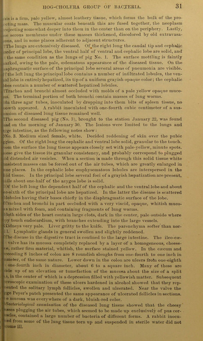 i is is a firm, pale yellow, almost leathery tissue, which forms the bulk of the pro- cting mass. The muscular coats beneath this are fused together, the neoplasm ojecting somewhat deeper iuto them iu the center than on the periphery. Lastly, i te serous membrane under these masses thickened, discolored by old extravasa- ons, and in some places adherent to adjacent structures. The lungs are extensively diseased. Ofjfiie right long the caudal tip and cephalic )rder of principal lobe, the ventral half of ventral and cephalic lobe are solid, and the same condition as the lungs of pig No. 1. The surface mottling is faintly irked, owing to the pale, oedematous appearance of the diseased tissue. On the apliragmatic surface of the principal lobe several areas of pneumonia are visible, 'the left lung the principal lobe contains a number of infiltrated lobules, the ven- ; il lobe is entirely hepatized, its tip of a uniform grayish opaque color; the cephalic ; bes contain a number of scattered hepatized lobules. Trachea and bronchi almost occluded with molds of a pale yellow opaque rnuco- ;-is. The terminal portion of both bronchi contain masses of lung worms. In three agar tubes, inoculated by dropping into them bits of spleen tissue, no owth appeared. A rabbit inoculated with one-fourth cubic centimeter of a sus- - nsion of diseased lung tissue remained well. : The second diseased pig (No. 3), brought to the station January 22, was found ad on the morning of January 30. The lesions were limited to the lungs and ,’ge intestine, as the following notes show: NMo. 3. Medium sized female, white. Decided reddening of skin over the pubic : rion. Of the right lung the cephalic and ventral lobe solid, granular to the touch, om the surface the lung tissue appears closely set with pale-yellow, minute spots. ese give the tissue its granular consistency, and probably correspond to plugged d distended air vesicles. When a section is made through this solid tissue white usistent masses can be forced out of the air tubes, which are greatly enlarged in ue places. In the cephalic lobe emphysematous lobules are interspersed in the ; id tissue. Iu the principal lobe several foci of a grayish hepatization are present. : die about one-half of the azygos lobe is solid. Of the left lung the dependent half of the cephalic and the ventral lobe and about 3-sixth of the principal lobe are hepatized. In the latter the disease is scattered lobules having their bases chiefly in the diaphragmatic surface of the lobe, ['rachea and bronchi iu part occluded with a very viscid, opaque, whitish muco- '3 mixed with foam, and containing fragments of lung worms. !3oth sides of the heart contain large clots, dai’k in the center, pale outside where jy touch endocardium, with branches extending into the large vessels. \ Cidneys very pale. Liver gritty to the knife. The parenchyma softer than nor- 1. Lymphatic glands in general swollen and slightly reddened. Hie disease iu the digestive tract is confined to the large intestine. The ileo-cse- valve has its mucosa completely replaced by a layer of a homogeneous, cheese- e, rather firm material, whitish, the surface stained yellow. In the caecum and sceeding 8 inches of colon are 8 roundish sloughs from one-fourth to one inch in meter, of the same nature. Lower down in tho colon are ulcers froln oue-eighth one-fourth inch in diameter, about 6 to a square inch. Many of these are ide up of an elevation or tumefaction of the mucosa about tho size of a split l, i11 the center of which is a depression filled with yellowish matter. Subsequent croscopic examination of these ulcers hardened in alcohol showed, that they rep- ented the solitary lymph follicles, swollen and ulcerated. Near the valve the ge Peyer’s patch presented the same appearance of ulcerated follicles in sections, e mucosa was everywhere of a dark, bluish-red color. bacteriological examination of the diseased lung tissue showed that the cheesy ■sses plugging the air tubes, which seemed to bo made up exclusively of pus cor- 3cles, contained a large number of bacteria of different forms. A rabbit inocu- ed from some of the lung tissue torn up and suspended in sterile water did not )ome ill.