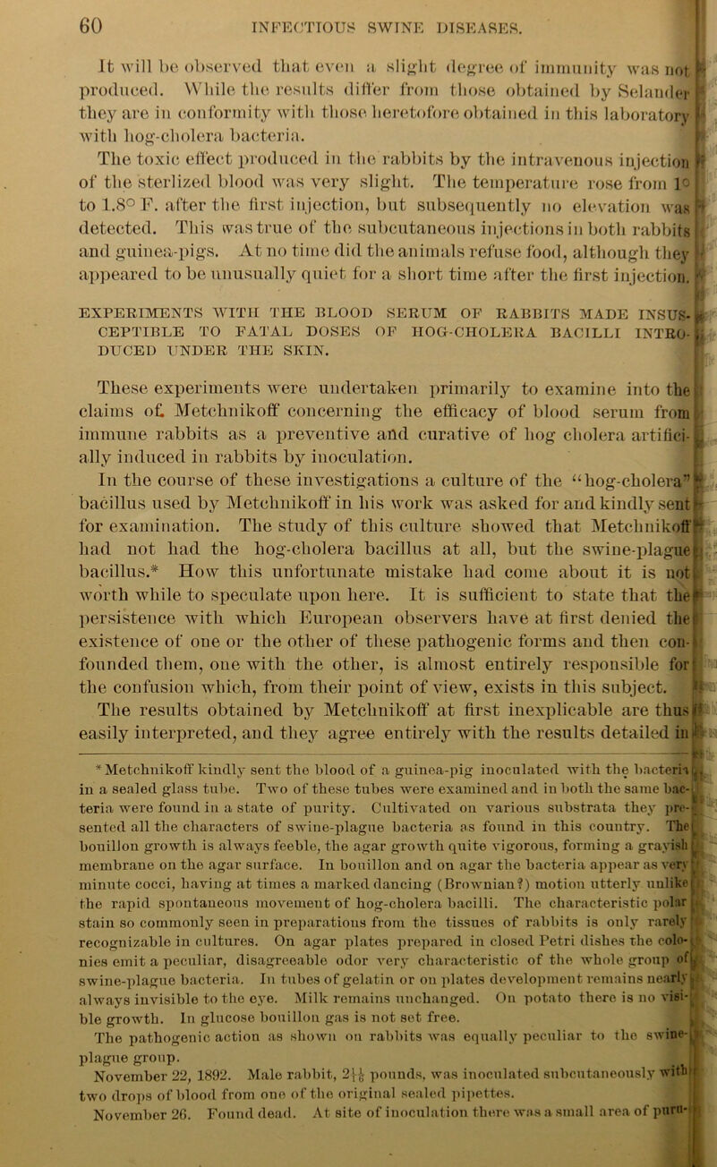 It will be observed that even a, slight degree of immunity was not produced. While the results differ from those obtained by Selantler they are in conformity with those heretofore obtained in this laboratory with hog-cholera bacteria. The toxic effect produced in the rabbits by the intravenous injection of the sterlized blood was very .slight. The temperature rose from 1° to 1.8° F. after the first injection, but subsequently no elevation was detected. This was true of the subcutaneous injections in both rabbits and guinea-pigs. At no time did the animals refuse food, although they appeared to be unusually quiet for a short time after the first injection. EXPERIMENTS WITH THE BLOOD SERUM OF RABBITS MADE INSUS- CEPTIBLE TO FATAL DOSES OF IIOG-CHOLERA BACILLI INTRO- \ DUCED UNDER THE SKIN. These experiments were undertaken primarily to examine into the claims of. Metchnikoff concerning the efficacy of blood serum from immune rabbits as a preventive and curative of hog cholera artifici- ally induced in rabbits by inoculation. In the course of these investigations a culture of the “hog-cholera” bacillus used by Metchnikoff in his work was asked for and kindly sent for examination. The study of this culture showed that Metchnikoff had not had the hog-cholera bacillus at all, but the swine-plague bacillus.* How this unfortunate mistake had come about it is not worth while to speculate upon here. It is sufficient to state that the persistence with which European observers have at first denied the existence of one or the other of these pathogenic forms and then con- founded them, one with the other, is almost entirely responsible for the confusion which, from their point of view, exists in this subject. The results obtained by Metchnikoff at first inexplicable are thu? easily interpreted, and they agree entirely with the results detailed in Ifl.lJ IB * Metchnikoff kindly sent the blood of a guinea-pig inoculated with the bacteria t in a sealed glass tube. Two of these tubes were examined and in both the same bac- teria were found in a state of purity. Cultivated on vai’ious siabstrata they pre-j L. sented all the characters of swine-plague bacteria as found in this country. The! bouillon growth is always feeble, the agar growth quite vigorous, forming a grayish membrane on the agar surface. In bouillon and on agar the bacteria appear as very minute cocci, having at times a marked dancing (Brownian?) motion utterly unlike! the rapid spontaneous movement of hog-cholera bacilli. The characteristic polar stain so commonly seen in preparations from the tissues of rabbits is only rarely j recognizable iu cultures. On agar plates prepared in closed Petri dishes the colo- nies emit a peculiar, disagreeable odor very characteristic of the whole group off swine-plague bacteria. In tubes of gelatin or on plates development remains nearly always invisible to the eye. Milk remains unchanged. On potato there is no visi- ble growth. In glucose bouillon gas is not set free. The pathogenic action as shown on rabbits was equally peculiar to the swine-. plague group. J. November 22, 1892. Male rabbit, 2f£ pounds, was inoculated subcutaneously witlu two drops of blood from ouo of the original sealed pipettes. November 26. Found dead. At site of inoculation there was a small area of pnrn*