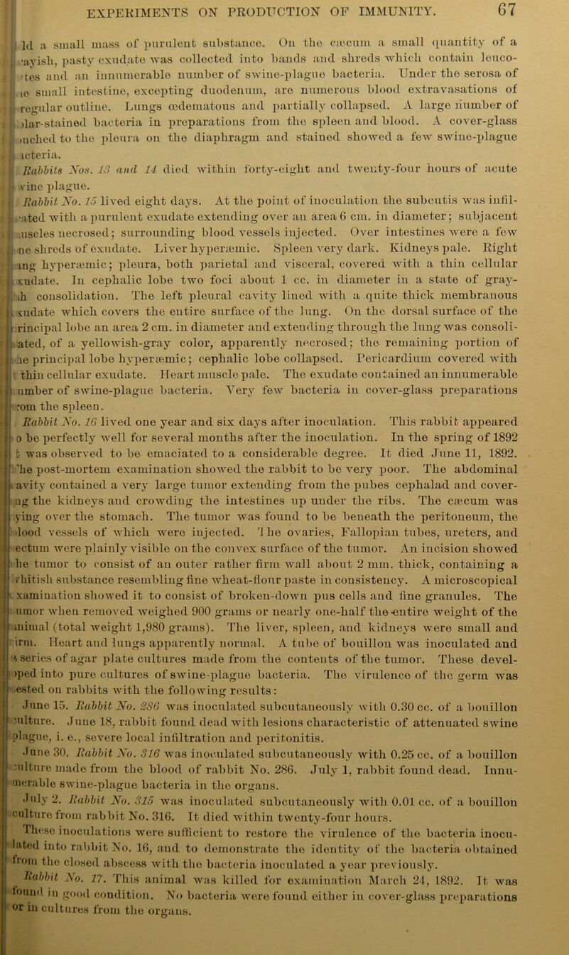 Id a small mass of purulent substance. On the caecum a small quantity of a j 'ayish, pasty exudate was collected into bands and shreds which contain leuco- : |i -tes and an innumerable number of swine-plague bacteria. Under the serosa of >j| ie small intestine, excepting duodenum, are numerous blood extravasations of II regular outline. Lungs oedematous and partially collapsed. A large number of i ji dar-stained bacteria in preparations from the spleen and blood. A cover-glass I niched to the pleura on the diaphragm and stained showed a few swine-plague i|| rcteria. f i Babbits Nos. 13 and 14 died within forty-eight and twenty-four hours of acute f vine plague. Babbit No. 15 lived eight days. At the point of inoculation the subcutis was inhl- ,-ated with a purulent exudate extending over an area 6 cm. in diameter; subjacent nscles necrosed; surrounding blood vessels injected. Over intestines were a few lie shreds of exudate. Liver hypermmic. Spleen very dark. Kidneys pale. Right ing hyperaunic; pleura, both parietal and visceral, covered with a thin cellular sudate. In cephalic lobe two foci about 1 cc. in diameter in a state of gray- h consolidation. The left pleural cavity lined with a quite thick membranous sudate which covers the entire surface of the lung. On the dorsal surface of the rincipal lobe an area 2 cm. in diameter and extending through the lung was consoli- ated, of a yellowish-gray color, apparently necrosed; the remaining portion of ie principal lobe hyperiemic; cephalic lobe collapsed. Pericardium covered with thin cellular exudate. Heart muscle pale. The exudate contained an innumerable umber of swine-plague bacteria. Very few bacteria in cover-glass preparations rom the spleeu. Babbit No. 16 lived one year and six days after inoculation. This rabbit appeared 0 be perfectly well for several months after the inoculation. In the spring of 1892 fc was observed to be emaciated to a considerable degree. It died June 11, 1892. lie post-mortem examination showed the rabbit to be very poor. The abdominal avity contained a verjr large tumor extending from the pubes cephalad and cover- ag the kidneys and crowding the intestines up under the ribs. The cmcum was png over the stomach. The tumor was found to be beneath the peritoneum, the •lood vessels of which were injected. 9 lie ovaries, Fallopian tubes, ureters, and ectum were plainly visible on the convex surface of the tumor. An incision showed he tumor to consist of an outer rather firm wall about 2 mm. thick, containing a /hitisli substance resembling fine wheat-flour paste in consistency. A microscopical xamiuation showed it to consist of broken-down pus cells and fine granules. The umor when removed weighed 900 grams or nearly one-half the-entire weight of the uiimal (total weight 1,980 grams). The liver, spleen, and kidneys were small and irm. Heart and lungs apparently normal. A tube of bouillon was inoculated and 1 series of agar plate cultures made from the contents of the tumor. These devel- The virulence of the germ was >ped into pure cultures of swine-plague bacteria. jested on rabbits with the following results: June 15. Babbit No. 2S6 was inoculated subcutaneously with 0.30 cc. of a bouillon mlture. June 18, rabbit found dead with lesions characteristic of attenuated swine i plague, i. o., severe local infiltration and peritonitis. June 30. Babbit No. 316 was inoculated subcutaneously with 0.25 cc. of a bouillon mlture made from the blood of rabbit No. 286. July 1, rabbit found dead. Innu- merable swine-plague bacteria in the organs. July 2. Babbit No. 315 was inoculated subcutaneously with 0.01 cc. of a bouillon 1 culture from rabbit No. 316. It died within twenty-four hours. These inoculations were sufficient to restore the virulence of the bacteria inocu- lated into rabbit No. 16, and to demonstrate the identity of the bacteria obtained bom the closed abscess with the bacteria inoculated a year previously. Babbit No. 17. This animal was killed for examination March 24, 1892. It was found in good condition. No bacteria were found either in cover-glass preparations or in cultures from the organs.