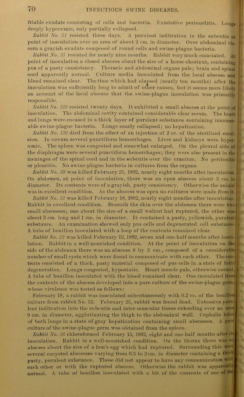 friable exudate consisting of cells and bacteria. Exudative pericarditis. Lungs deeply liyporaunic, only partially collapsed. Babbit No. 51 resisted three days. A purulent infiltration in the subcutis at point of inoculation over an area of about 2 cin. in diameter. Over abdominal vis- cera a grayish exudate composed of round cells and swine-plague bacteria. Babbit No. 35 resisted for nearly nine months. Rabbit very much emaciated. At ' point of inoculation a closed abscess about the size of a horse-chestnut, containing J pus of a pasty consistency. Thoracic and abdominal organs pale; brain and spinal ■ cord apparently normal. Culture media inoculated from the local abscess and u blood remained clear. The time which had elapsed (nearly ten months) after the !• inoculation was sufficiently long to admit of other causes, but it seems more likely on account of the local abscess that the swine-plague inoculation was primarily responsible. Babbit No. 129 resisted twenty days. It exhibited a small abscess at the point of I inoculation. The abdominal cavity contained considerable clear serum. The heart • and lungs were encased in a thick layer of purulent substance containing innumer- able swine-plague bacteria. Lungs nearly collapsed; no hepatization. Babbit No. 130 died from the effect of an injection of 2 cc. of the sterilized emui- sion. In ctecum several punctiform hemorrhages. Liver and kidneys were hyper- semic. The spleen was congested and somewhat enlarged. On the pleural side of I the diaphragm were several punctiform hemorrhages; they were also present in the l meninges of the spinal cord and in the subcutis over the cranium. No peritonitis j or pleuritis. No swine-plague bacteria in cultures from the organs. Babbit No. 50 was killed February 25, 1892, nearly eight months after inoculation. | On abdomen, at point of inoculation, there was an open abscess about 3 era. in j diameter. Its contents were of a grayish, pasty consistency. Otherwise the animal h was in excellent condition. As the abscess was open no cultures were made from it. j Babbit No. 53 was killed February 18, 1892, nearly eight months after inoculation, t - Rabbit in excellent condition. Beneath the skin over the abdomen there were two! small abscesses; one about the size of a small walnut had ruptured, the other was) about 3 cm. long and 1 cm. in diameter. It contained a pasty, yellowish, purulent I i substance. An examination showed only pus cells and degenerated cell substance. Ij A tube of bouillon inoculated with a loop of the contents remained clear. Babbit No. 52 was killed February 12, 1892, seven and one-half months after inocu-fl lation. Rabbit in a well-nourished condition. At the point of inoculation on the j L side of the abdomen there was an abscess 8 by 3 cm., composed of a considerable jj number of small cysts which were found to communicate with each other. The con- i tents consisted of a thick, pasty material composed of pus cells in a state of fatty) t degeneration. Lungs congested, hypostatic. Heart muscle pale, otherwise normal.j r A tube of bouillon inoculated with the blood remained clear. One inoculated fromj the contents of the abscess developed into a pure culture of the swine-plague germ.i . whose virulence was tested as follows: February 18, a rabbit was inoculated subcutaneously with 0.2 cc. of the bouillont 1 culture from rabbit No. 52. February 25, rabbit was found dead. Extensive puru-J • lent infiltration into the subcutis and inter-muscular tissue extending over an area ; 9 cm. in diameter, agglutinating the thigh to the abdominal wall. Cephalic lobes of both lungs in a state of gray hepatization containing small abscesses. A purq culture of the swine-plague germ was obtained from the spleen. Babbit No. 36 chloroformed February 15, 1892, eight and one-half months after its inoculation. Rabbit in a well-nourished condition. On the thorax there was aii abscess about the size of a hen’s egg which had ruptured. Surrounding this were several encysted abscesses varying from 0.5 to 2cm. in diameter containing a thick , pasty, purulent substance. These did not appear to have any communication with \ each other or with the ruptured abscess. Otherwise the rabbit was apparently normal. A tube of bouillon inoculated with a bit of the contents of one of tbl