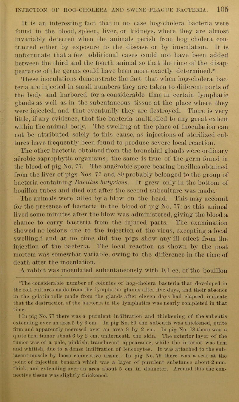 It is an interesting fact that in no case hog-cholera bacteria were found in the blood, spleen, liver, or kidneys, where they are almost invariably detected when the animals perish from hog cholera con- tracted either by exposure to the disease or by inoculation. It is unfortunate that a few additional cases could not have been added between the third and the fourth animal so that the time of the disap- pearance of the germs could have been more exactly determined.* These inoculations demonstrate the fact that when hog-cholera bac- teria are injected in small numbers they are taken to different parts of the body and harbored for a considerable time m certain lymphatic glands as well as in the subcutaneous tissue at the place where they were injected, and that eventually they are destroyed. There is very little, if any evidence, that the bacteria multiplied to any great extent within the animal body. The swelling at the place of inoculation can not be attributed solely to this cause, as injections of sterilized cul- tures have frequently been found to produce severe local reaction. The other bacteria obtained from the bronchial glands were ordinary aerobic saprophytic organisms; the same is true of the germ found in the blood of pig Ho. 77. The anaerobic spore-bearing bacillus obtained from the liver of pigs Hos. 77 and 80 probably belonged to the group of bacteria containing Bacillus butyricus. It grew only in the bottom of .bouillon tubes and died out after the second subculture was made. The animals were killed by a blow on the head. This may account for the presence of bacteria in the blood of pig Ho. 77, as this animal lived some minutes after the blow was administered, giving the blood a chance to carry bacteria from the injured parts. The examination showed no lesions due to the injection of the virus, excepting a local swelling,! and at no time did the pigs show any ill effect from the injection of the bacteria. The local reaction as shown by the post mortem was somewhat variable, owing to the difference in the time of death after the inoculation. A rabbit was inoculated subcutaneously with 0.1 cc. of the bouillon *The considerable number of colonies of hog-cholera bacteria that developed in the roll cultures made from the lymphatic glands after five days, and their absence in the gelatin rolls made from the glands after eleven days had elapsed, indicate that the destruction of the bacteria in the lymphatics was nearly completed in that time. t In pig No. 77 there was a purulent infiltration and thickening of the subcutis extending over an area5 by 3 cm. In pig No. 80 the subcutis was thickened, quite firm and apparently necrosed over an area 8 by 2 cm. In pig No. 78 there was a quite firm tumor about 6 by 2 cm. underneath the skin. The exterior layer of the tumor was of a pale, pinkish, translucent appearance, while the interior was firm and whitish, due to a dense infiltration of leucocytes. It was attached to the sub- jacent muscle by loose connective tissue. In pig No. 79 there was a scar at the point of injection beneath which was a layer of purulent substance about 2 mm. thick, and extending over an area about 5 cm. in diameter. Around this the con- nective tissue was slightly thickened.