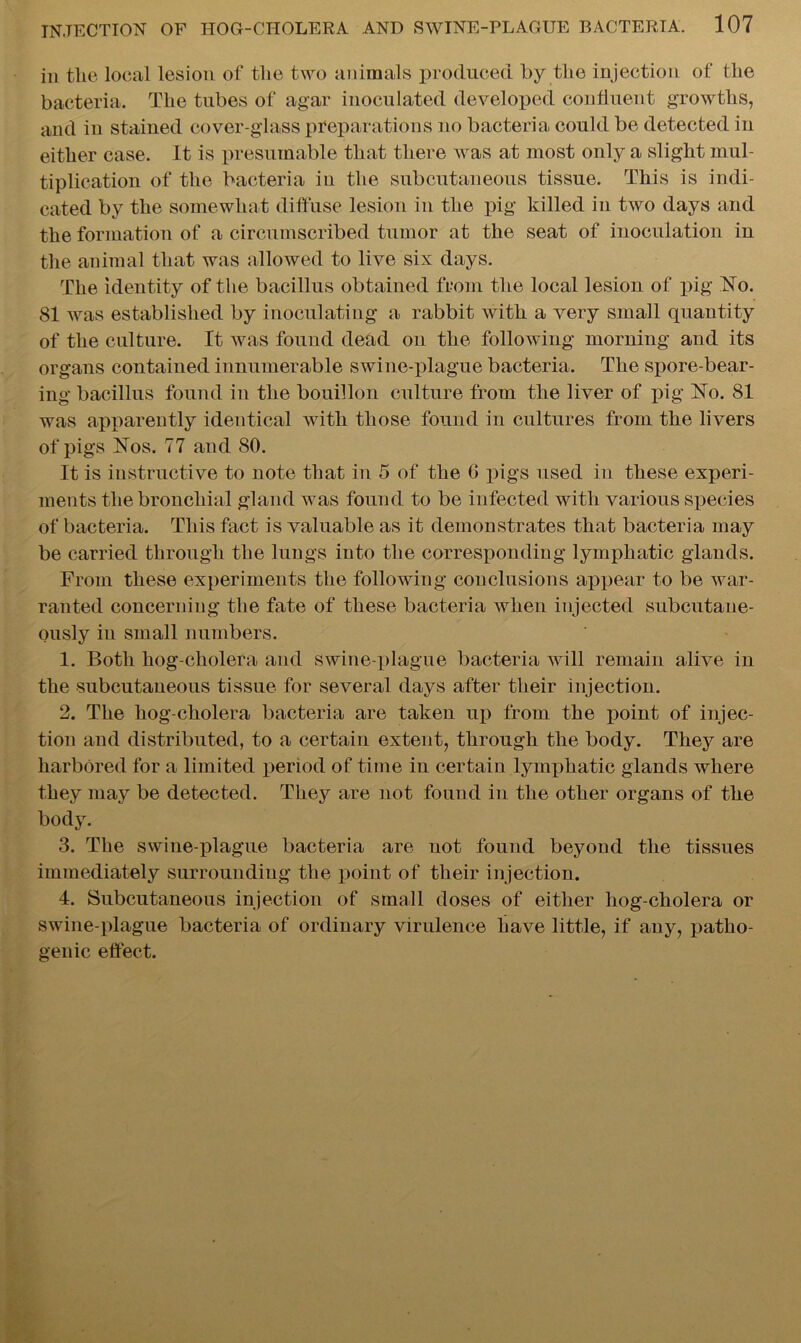 in tlie local lesion of the two animals produced by the injection of the bacteria. The tubes of agar inoculated developed continent growths, and in stained cover-glass preparations no bacteria could be detected in either case. It is presumable that there was at most only a slight mul- tiplication of the bacteria in the subcutaneous tissue. This is indi- cated by the somewhat diffuse lesion in the pig killed in two days and the formation of a circumscribed tumor at the seat of inoculation in the animal that was allowed to live six days. The identity of the bacillus obtained from the local lesion of pig Ho. 81 was established by inoculating a rabbit with a very small quantity of the culture. It was found dead on the following morning and its organs contained innumerable swine-plague bacteria. The spore-bear- ing bacillus found in the bouillon culture from the liver of pig Ho. 81 was apparently identical with those found in cultures from the livers of pigs Hos. 77 and 80. It is instructive to note that in 5 of the G pigs used in these experi- ments the bronchial gland was found to be infected with various species of bacteria. This fact is valuable as it demonstrates that bacteria may be carried through the lungs into the corresponding lymphatic glands. From these experiments the following conclusions appear to be war- ranted concerning the fate of these bacteria when injected subcutane- ously in small numbers. 1. Both hog-cholera and swine-plague bacteria will remain alive in the subcutaneous tissue for several days after their injection. 2. The hog-cholera bacteria are taken up from the point of injec- tion and distributed, to a certain extent, through the body. They are harbored for a limited period of time in certain lymphatic glands where they may be detected. They are not found in the other organs of the body. 3. The swine-plague bacteria are not found beyond the tissues immediately surrounding the point of their injection. 4. Subcutaneous injection of small doses of either hog-cholera or swine-plague bacteria of ordinary virulence have little, if any, patho- genic effect.