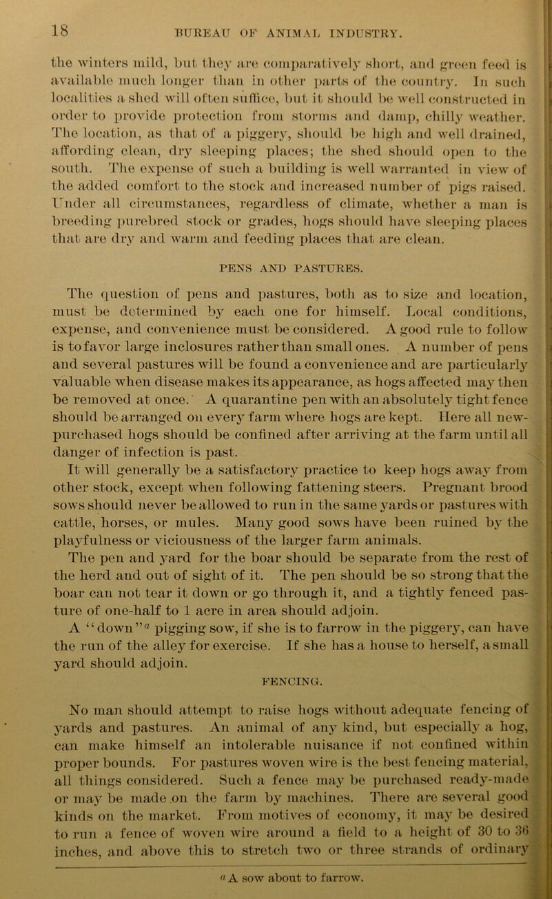 the winters mild, but they are comparatively short, and green feed is available much longer than in other parts of the country. In such localities a shed will often suffice, but it should be well constructed in order to provide protection from storms and damp, chilly weather. The location, as that of a piggery, should be high and well drained, affording clean, dry sleeping places; the shed should open to the south. The expense of such a building is well warranted in view of \ the added comfort to the stock and increased number of pigs raised. Under all circumstances, regardless of climate, whether a man is breeding purebred stock or grades, hogs should have sleeping places that are dry and warm and feeding places that are clean. PENS AND PASTURES. The question of pens and pastures, both as to size and location, must be determined by each one for himself. Local conditions, expense, and convenience must be considered. A good rule to follow is to favor large inclosures rather than small ones. A number of pens and several pastures will be found a convenience and are particularly valuable when disease makes its appearance, as hogs affected may then be removed at once.' A quarantine pen with an absolutely tight fence should be arranged on every farm where hogs are kept. Here all new- purchased hogs should be confined after arriving at the farm until all danger of infection is past. It will generally be a satisfactory practice to keep hogs away from other stock, except when following fattening steers. Pregnant brood sows should never be allowed to run in the same yards or pastures with cattle, horses, or mules. Many good sows have been ruined by the playfulness or viciousness of the larger farm animals. The pen and yard for the boar should be separate from the rest of the herd and out of sight of it. The pen should be so strong that the boar can not tear it down or go through it, and a tightly fenced pas- ture of one-half to 1 acre in area should adjoin. A “down”® pigging sow, if she is to farrow in the piggery, can have the run of the alley for exercise. If she has a house to herself, a small yard should adjoin. FENCING. No man should attempt to raise hogs without adequate fencing of yards and pastures. An animal of any kind, but especially a hog, can make himself an intolerable nuisance if not confined within proper bounds. For pastures woven wire is the best fencing material, all things considered. Such a fence may be purchased ready-made or may be made on the farm by machines. There are several good kinds on the market. From motives of economy, it may be desired to run a fence of woven wire around a field to a height of 30 to 36 inches, and above this to stretch two or three strands of ordinary « A sow about to farrow.