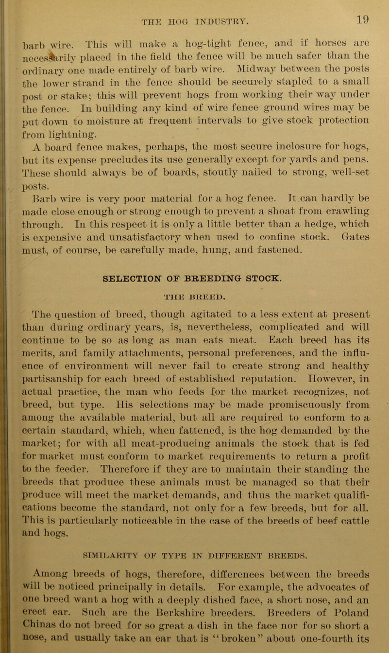 barb wire. This will make a hog-tight fence, and if horses are neceslhrily placed in the field the fence will be much safer than the ordinary one made entirely of barb wire. Midway between the posts the lower strand in the fence should be securely stapled to a small post or stake; this will prevent hogs from working their way under the fence. In building any kind of wire fence ground wires may be put down to moisture at frequent intervals to give stock protection from lightning. A board fence makes, perhaps, the most secure inclosure for hogs, but its expense precludes its use generally except for yards and pens. These should always be of boards, stoutly nailed to strong, Avell-set posts. Barb wire is very poor material for a hog fence. It can hardly be made close enough or strong enough to prevent a shoat from crawling through. In this respect it is only a little better than a hedge, which is expensive and unsatisfactory when used to confine stock. Gates must, of course, be carefully made, hung, and fastened. SELECTION OF BREEDING STOCK. THE BREED. The question of breed, though agitated to a less extent at present than during ordinary years, is, nevertheless, complicated and will continue to be so as long as man eats meat. Each breed has its merits, and family attachments, personal preferences, and the influ- ence of environment will never fail to create strong and health}^ partisanship for each breed of established reputation. However, in actual practice, the man who feeds for the market recognizes, not breed, but type. Ilis selections may be made promiscuously from among the available material, but all are required to conform to a certain standard, which, when fattened, is the hog demanded by the market; for with all meat-producing animals the stock that is fed for market must conform to market requirements to return a profit to the feeder. Therefore if they are to maintain their standing the breeds that produce these animals must be managed so that their produce will meet the market demands, and thus the market qualifi- cations become the standard, not only for a few breeds, but for all. This is particularly noticeable in the case of the breeds of beef cattle and hogs. SIMILARITY OF TYPE IN DIFFERENT BREEDS. Among breeds of hogs, therefore, differences between the breeds will be noticed principally in details. For example, the advocates of one breed want a hog with a deeply dished face, a short nose, and an erect ear. Such are the Berkshire breeders. Breeders of Poland Chinas do not breed for so great a dish in the face nor for so short a nose, and usually take an ear that is “broken” about one-fourth its