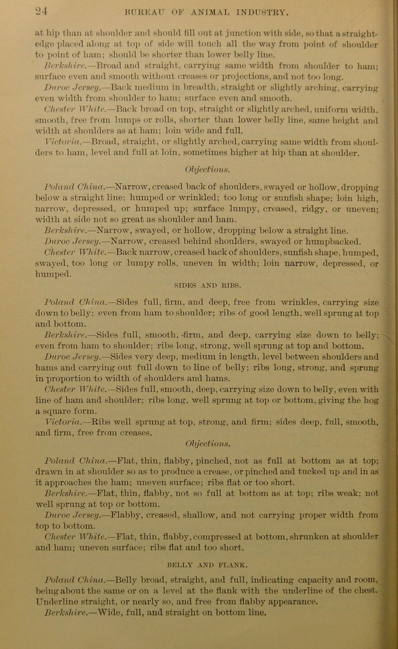 at hip than at shoulder and should fill out at junction with side, so that a straight- edge placed along at top of side will touch all the way from point of shoulder to point of ham; should he shorter than lower belly line. Berkshire.—Broad and straight, carrying same width from shoulder to ham; surface even and smooth without creases or projections, and not too long. Duroe Jersey.—Back medium in breadth, straight or slightly arching, carrying even width from shoulder to ham; surface even and smooth. Chester White.—Back broad on top, straight or slightly arched, uniform width, smooth, free from lumps or rolls, shorter than lower belly line, same height and width at shoulders as at ham; loin wide and full. Victoria.—Broad, straight, or slightly arched, carrying same width from shoul- ders to ham, level and full at loin, sometimes higher at hip than at shoulder. Objections. Poland China.—Narrow, creased back of shoulders, swayed or hollow, dropping below a straight line; humped or wrinkled; too long or sunfish shape; loin high, narrow, depressed, or humped up; surface lumpy, creased, ridgy, or uneven; width at side not so great as shoulder and ham. Berkshire.—Narrow, swayed, or hollow, dropping below a sti'aight line. Duroe Jersey.—Narrow, creased behind shoulders, swayed or humpbacked. Chester White.—Back narrow, creased back of shoulders, sunfish shape, humped, swayed, too long or lumpy rolls, uneven in width; loin narrow, depressed, or humped. SIDES AND RIBS. Poland China.—Sides full, firm, and deep, free from wrinkles, carrying size down to belly; even from ham to shoulder; ribs of good length, well sprung at top and bottom. Berkshire.—Sides full, smooth, •firm, and deep, carrying size down to belly; even from ham to shoulder; ribs long, strong, well sprung at top and bottom. Duroe Jersey.—Sides very deep, medium in length, level between shoulders and hams and carrying out full down to line of belly; ribs long, strong, and sprung in proportion to width of shoulders and hams. Chester White.—Sides full, smooth, deep, carrying size down to belly, even with line of ham and shoulder; ribs long, well sprung at top or bottom, giving the hog a square form. Victoria.—Ribs well sprung at top, strong, and firm; sides deep, full, smooth, and firm, free from creases. Objections. Poland China.—Flat, thin, flabby, pinched, not as full at bottom as at top; drawn in at shoulder so as to produce a crease, or pinched and tucked up and in as it approaches the ham; uneven surface; ribs flat or too short. Berkshire.—Flat, thin, flabby, not so full at bottom as at top; ribs weak; not well sprung at top or bottom. Duroe Jersey.—Flabby, creased, shallow, and not carrying proper width from top to bottom. Chester White.—Flat, thin, flabby, compressed at bottom, shrunken at shoulder and ham; uneven surface; ribs flat and too short. BELLY AND FLANK. Poland China.—Belly broad, straight, and full, indicating capacity and room, being about the same or on a level at the flank with the underline of the chest. Underline straight, or nearly so, and free from flabby appearance. Berkshire.—Wide, full, and straight on bottom line.