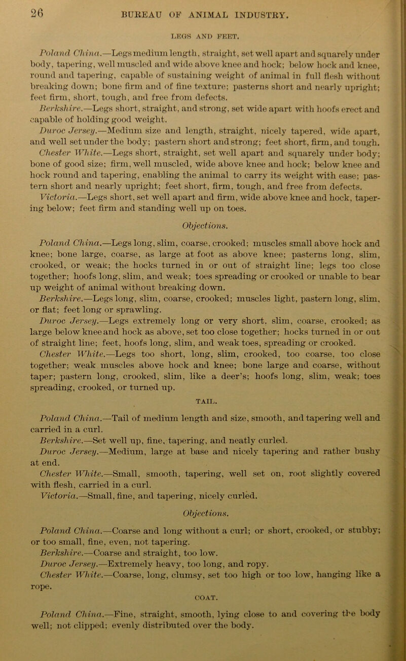 LEGS AND FEET. Poland China.—Legs medium length, straight, set well apart and squarely under body, tapering, well muscled and wide above knee and hock; below hock and knee, round and tapering, capable of sustaining weight of animal in full flesh without breaking down; bone firm and of fine texture; pasterns short and nearly upright; feet firm, short, tough, and free from defects. Berkshire.—Legs short, straight, and strong, set wide apart with hoofs erect and capable of holding good weight. Duroe Jersey.—Medium size and length, straight, nicely tapered, wide apart, and well set under the body; pastern short and strong; feet short, firm, and tough. Chester White.—Legs short, straight, set well apart and squarely under body; bone of good size; firm, well muscled, wide above knee and hock; below knee and hock round and tapering, enabling the animal to carry its weight with ease; pas- tern short and nearly upright; feet short, firm, tough, and free from defects. Victoria.—Legs short, set well apart and firm, wide above knee and hock, taper- ing below; feet firm and standing well up on toes. Objections. Poland China.—Legs long, slim, coarse, crooked; muscles small above hock and knee; bone large, coarse, as large at foot as above knee; pasterns long, slim, crooked, or weak; the hocks turned in or out of straight line; legs too close together; hoofs long, slim, and weak; toes spreading or crooked or unable to bear up weight of animal without breaking down. Berkshire.—Legs long, slim, coarse, crooked; muscles light, pastern long, slim, or flat; feet long or sprawling. Duroe Jersey.—Legs extremely long or very short, slim, coarse, crooked; as large below knee and hock as above, set too close together; hocks turned in or out of straight line; feet, hoofs long, slim, and weak toes, spreading or crooked. Chester White.—Legs too short, long, slim, crooked, too coarse, too close together; weak muscles above hock and knee; bone large and coarse, without taper; pastern long, crooked, slim, like a deer’s; hoofs long, slim, weak; toes spreading, crooked, or turned up. TAIL. Poland China.—Tail of medium length and size, smooth, and tapering well and carried in a curl. Berkshire.—Set well up, fine, tapering, and neatly curled. Duroe Jersey.—Medium, large at base and nicely tapering and rather bushy at end. Chester White.—Small, smooth, tapering, well set on, root slightly covered with flesh, carried in a curl. Victoria.—Small, fine, and tapering, nicely curled. Objections. Poland China.—Coarse and long without a curl; or short, crooked, or stubby; or too small, fine, even, not tapering. Berkshire.—Coarse and straight, too low. Duroe Jersey.—Extremely heavy, too long, and ropy. Chester White.—Coarse, long, clumsy, set too high or too low, hanging like a rope. COAT. Poland China.—Fine, straight, smooth, lying close to and covering the body well; not clipped; evenly distributed over the body.
