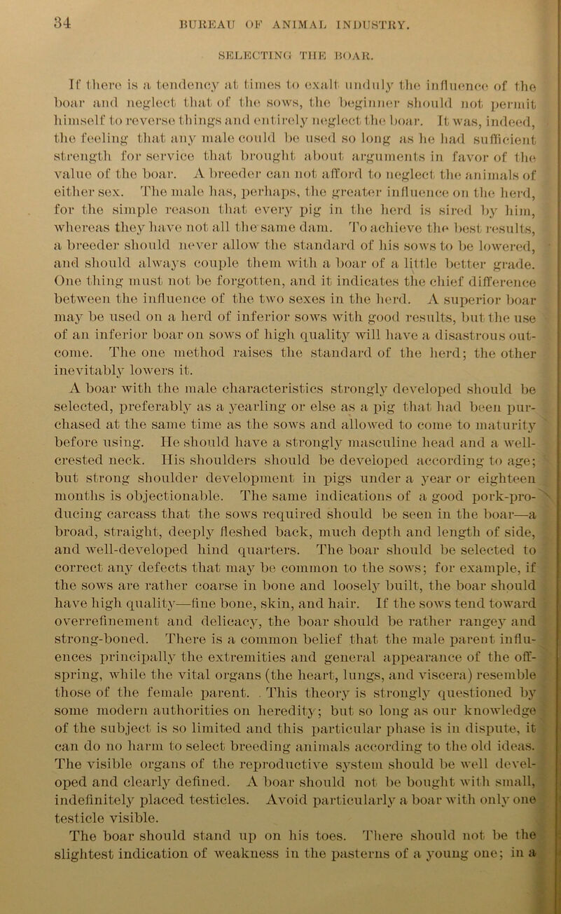 SELECTING THE BOAR. It' there is a tendency at times to exalt unduly the influence of the boar and neglect that of the sows, the beginner should not permit himself to reverse things and entirely neglect the boar. It was, indeed, the feeling that any male could be used so long as he had sufficient strength for service that brought about arguments in favor of the value of the boar. A breeder can not afford to neglect the animals of either sex. The male has, perhaps, the greater influence on the herd, for the simple reason that every pig in the herd is sired by him, whereas they have not all the same dam. To achieve the best results, a breeder should never allow the standard of his sows to be lowered, and should always couple them with a boar of a little better grade. One thing must not be forgotten, and it indicates the chief difference between the influence of the two sexes in the herd. A superior boar may be used on a herd of inferior sows with good results, but the use of an inferior boar on sows of high quality will have a disastrous out- come. The one method raises the standard of the herd; the other inevitably lowers it. A boar with the male characteristics strongly developed should be selected, preferably as a yearling or else as a pig that had been pur- chased at the same time as the sows and allowed to come to maturity before using. lie should have a strongly masculine head and a well- crested neck. Ilis shoulders should be developed according to age; but strong shoulder development in pigs under a year or eighteen months is objectionable. The same indications of a good pork-pro- ducing carcass that the sows required should be seen in the boar—a broad, straight, deeply fleshed back, much depth and length of side, and well-developed hind quarters. The boar should be selected to correct any defects that may be common to the sows; for example, if the sows are rather coarse in bone and loosely built, the boar should have high quality—fine bone, skin, and hair. If the sows tend toward overrefinement and delicacy, the boar should be rather rangey and strong-boned. There is a common belief that the male parent influ- ences principally the extremities and general appearance of the off- spring, while the vital organs (the heart, lungs, and viscera) resemble those of the female parent. This theory is strongly questioned by some modern authorities on heredity; but so long as our knowledge of the subject is so limited and this particular phase is in dispute, it can do no harm to select breeding animals according to the old ideas. The visible organs of the reproductive sj^stem should be well devel- oped and clearly defined. A boar should not be bought with small, indefinitely placed testicles. Avoid particularly a boar with only one testicle visible. The boar should stand up on his toes. There should not be the slightest indication of weakness in the pasterns of a young one; in a