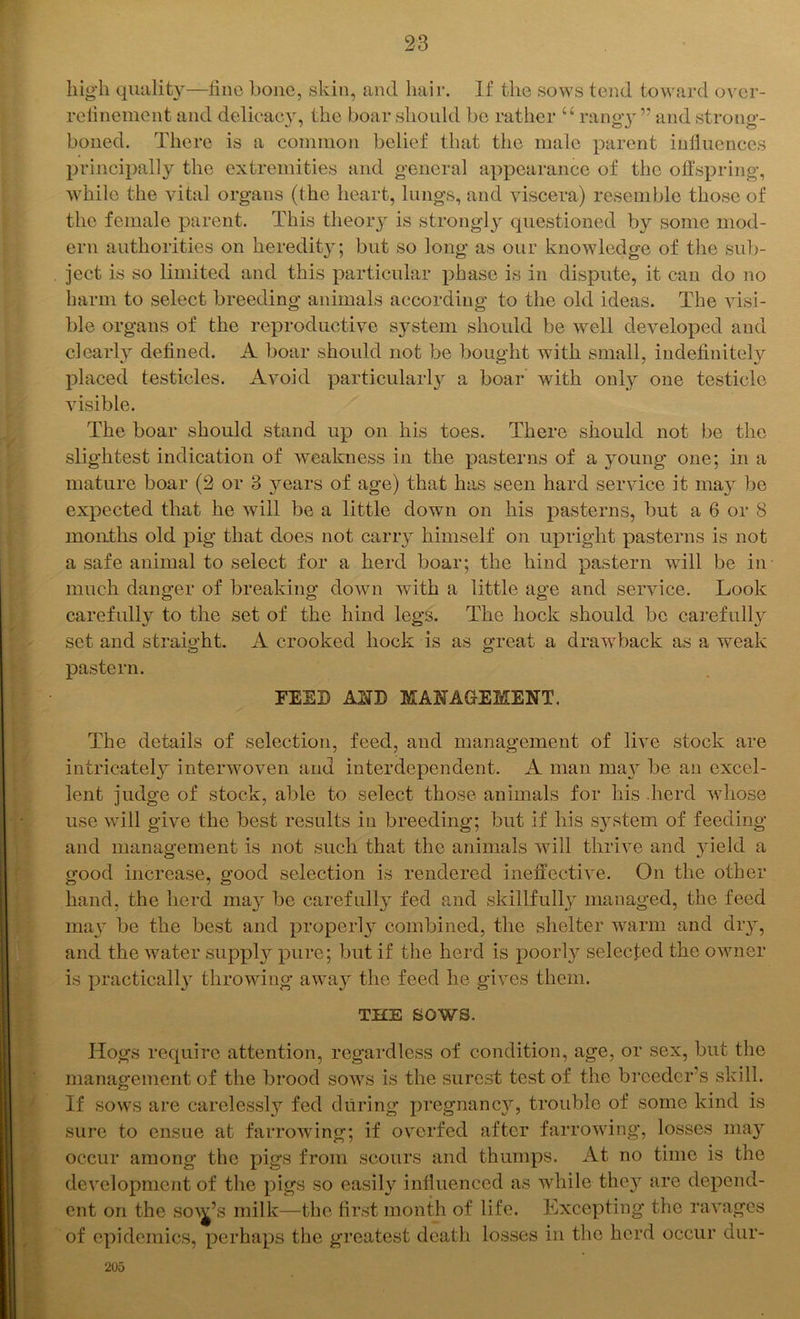 high quality—line bone, skin, and hair. If the sows tend toward over- refinement and delicacy, the boar should be rather “ rangy” and strong- boned. There is a common belief that the male parent influences principally the extremities and general appearance of the offspring, while the vital organs (the heart, lungs, and viscera) resemble those of the female parent. This theory is strongly questioned by some mod- ern authorities on heredity; but so long as our knowledge of the sub- ject is so limited and this particular phase is in dispute, it can do no harm to select breeding animals according to the old ideas. The visi- ble organs of the reproductive system should be well developed and clearly defined. A boar should not be bought with small, indefinitely placed testicles. Avoid particularly a boar with only one testicle visible. The boar should stand up on his toes. There should not be the slightest indication of weakness in the pasterns of a young one; in a mature boar (2 or 3 years of age) that has seen hard service it may be expected that he will be a little down on his pasterns, but a 6 or 8 months old pig that does not carry himself on upright pasterns is not a safe animal to select for a herd boar; the hind pastern will be in much danger of breaking down with a little age and service. Look carefully to the set of the hind legs. The hock should be carefully set and straight. A crooked hock is as great a drawback as a weak pastern. FEED AND MANAGEMENT. The details of selection, feed, and management of live stock are intricately interwoven and interdependent. A man may be an excel- lent judge of stock, able to select those animals for his herd whose use will give the best results in breeding; but if his system of feeding and management is not such that the animals will thrive and yield a good increase, good selection is rendered ineffective. On the other hand, the herd may be carefully fed and skillfully managed, the feed may be the best and properly combined, the shelter warm and dry, and the water supply pure; but if the herd is poorly selected the owner is practically7 throwing away7 the feed he gives them. THE SOWS. Hogs require attention, regardless of condition, age, or sex, but the management of the brood sows is the surest test of the breeder's skill. If sows are carelessly fed during pregnancy, trouble of some kind is sure to ensue at farrowing; if overfed after farrowing, losses may occur among the pigs from scours and thumps. At no time is the development of the pigs so easily influenced as while they7 are depend- ent on the sow’s milk—the first month of life. Excepting the ravages of epidemics, perhaps the greatest death losses in the herd occur dur- 205