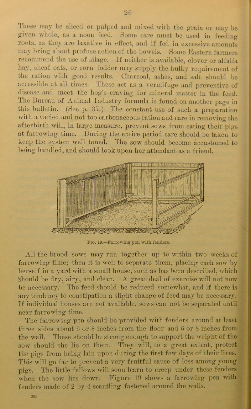 These may be sliced or pulped and mixed with the grain or may be given whole, as a noon feed. Some care must be used in feeding roots, as they are laxative in effect, and if fed in excessive amounts may bring about profuse action of the bowels. Some Eastern farmers recommend the use of silage. If neither is available, clover or alfalfa hay, sheaf oats, or corn fodder may supply the bulky requirement of the ration with good results. Charcoal, ashes, and salt should be accessible at all times. Lhesc act as a vermifuge and preventive of disease and meet the hog’s craving for mineral matter in the feed. The Bureau of Animal Industry formula is found on another page in this bulletin. (See p. 37.) The constant use of such a preparation with a varied and not too carbonaceous ration and care in removing the afterbirth will, in large measure, prevent sows from eating their pigs at farrowing time. During the entire period care should be taken to keep the system well toned. The sow should become accustomed to being handled, and should look upon her attendant as a friend. All the brood sows may run together up to within two weeks of farrowing time; then it is well to separate them, placing each sow by herself in a }Tard with a small house, such as has been described, which 'should be dry, airy, and clean. A great deal of exercise will not now be necessary. The feed should be reduced somewhat, and if there is any tendency to constipation a slight change of feed may be necessary. If individual houses are not available, sows can not be separated until near farrowing time. The farrowing pen should be provided with fenders around at least three sides about 6 or 8 inches from the floor and 6 or 8 inches from the wall. These should be strong enough to support the weight of the sow should she lie on them. They will, to a great extent, protect the pigs from being lain upon during the first few days of their lives. This will go far to prevent a very fruitful cause of loss among young pigs. The little fellows will soon learn to creep under these fenders when the sow lies down. Figure 19 shows a farrowing pen with fenders made of 2 by 1 scantling fastened around the walls. 205