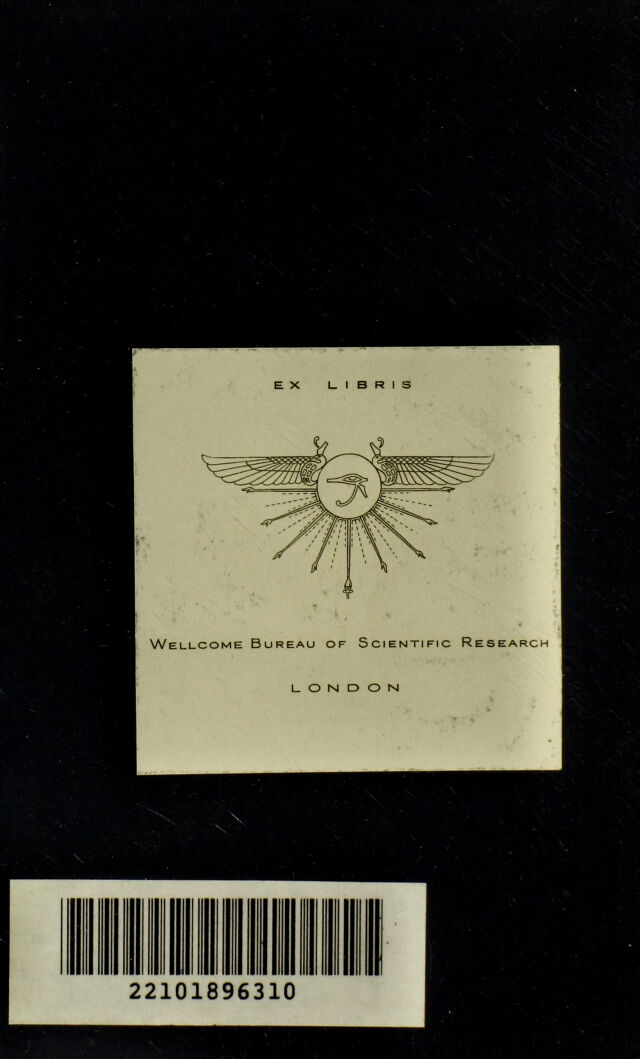 digitised image 2