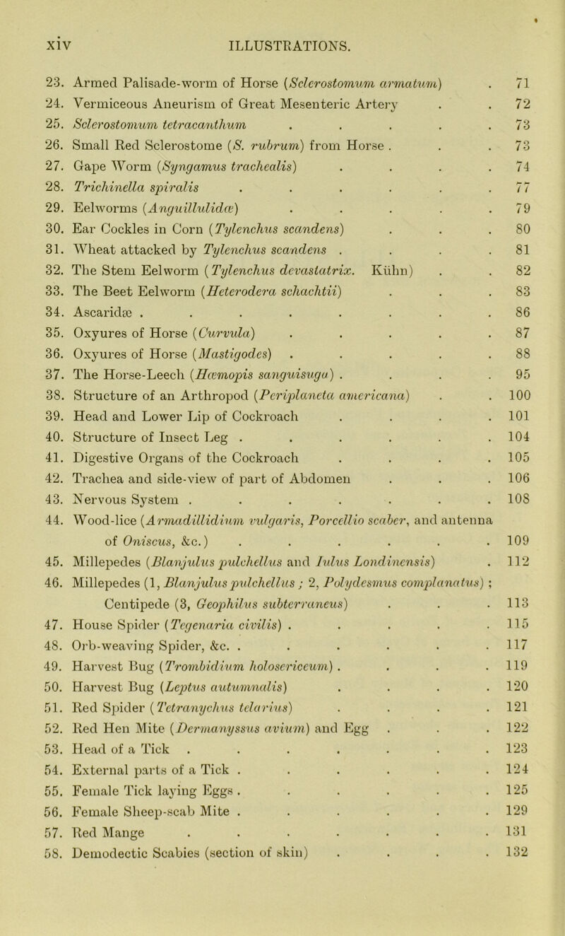« 23. Armed Palisade-worm of Horse (Sclerostomum armatum) 24. Vermiceous Aneurism of Great Mesenteric Artery 25. Sclerostomum tetracanthum ..... 26. Small Red Sclerostome (S. rubrum) from Horse . 27. Gape Worm (Syngcimus trcichealis) . . . . 28. Trichinella spiralis ...... 29. Eelworms (Anguillulidce) . ... . 30. Ear Cockles in Corn (Tylenchus scctndens) 31. Wheat attacked by Tylenchus scandens . . . . 32. The Stem Eel worm (Tylenchus dcvaslatrix. Kuhn) 33. The Beet Eelworm (Ileterodera schachtii) 34. Ascaridte ........ 35. Oxyures of Horse (Curvula) . ... . 36. Oxyures of Horse (Mastigodes) . . . . . 37. The Horse-Leech (Hcemopis sanguisugu) . . . . 38. Structure of an Arthropod (Pcriplaneta amcricana) 39. Head and Lower Lip of Cockroach . . . . 40. Structure of Insect Leg ...... 41. Digestive Organs of the Cockroach . . . . 42. Trachea and side-view of part of Abdomen 43. Nervous System ....... 44. Wood-lice (Armadillidium vulgaris, PorccUio scabcr, and antenna of Oniscus, kc.) 45. Millepedes (Blanjulus p)idchcllus and hdus Londincnsis) 46. Millepedes (1, Blanjuluspidchellus ; 2, Polydesmus complanatus) ; Centipede (3, Geophilus subterraneus) 47. House Spider (Tcgenaria civilis) ..... 48. Orb-weaving Spider, kc. ...... 49. Harvest Bug (Trombidium holosericeum) .... 50. Harvest Bug (Leptus autumncdis) .... 51. Red Spider (Tetranychus telarius) . . . . 52. Red Hen Mite (Dcrmanyssus avium) and Egg 53. Head of a Tick ....... 54. External parts of a Tick ...... 55. Female Tick laying Eggs ...... 56. Female Sheep-scab Mite ...... 57. Red Mange ....... 58. Demodectic Scabies (section of skin) .... 71 72 73 73 74 77 79 80 81 82 83 86 87 88 95 100 101 104 105 106 108 109 112 113 115 117 119 120 121 122 123 124 125 129 131 132