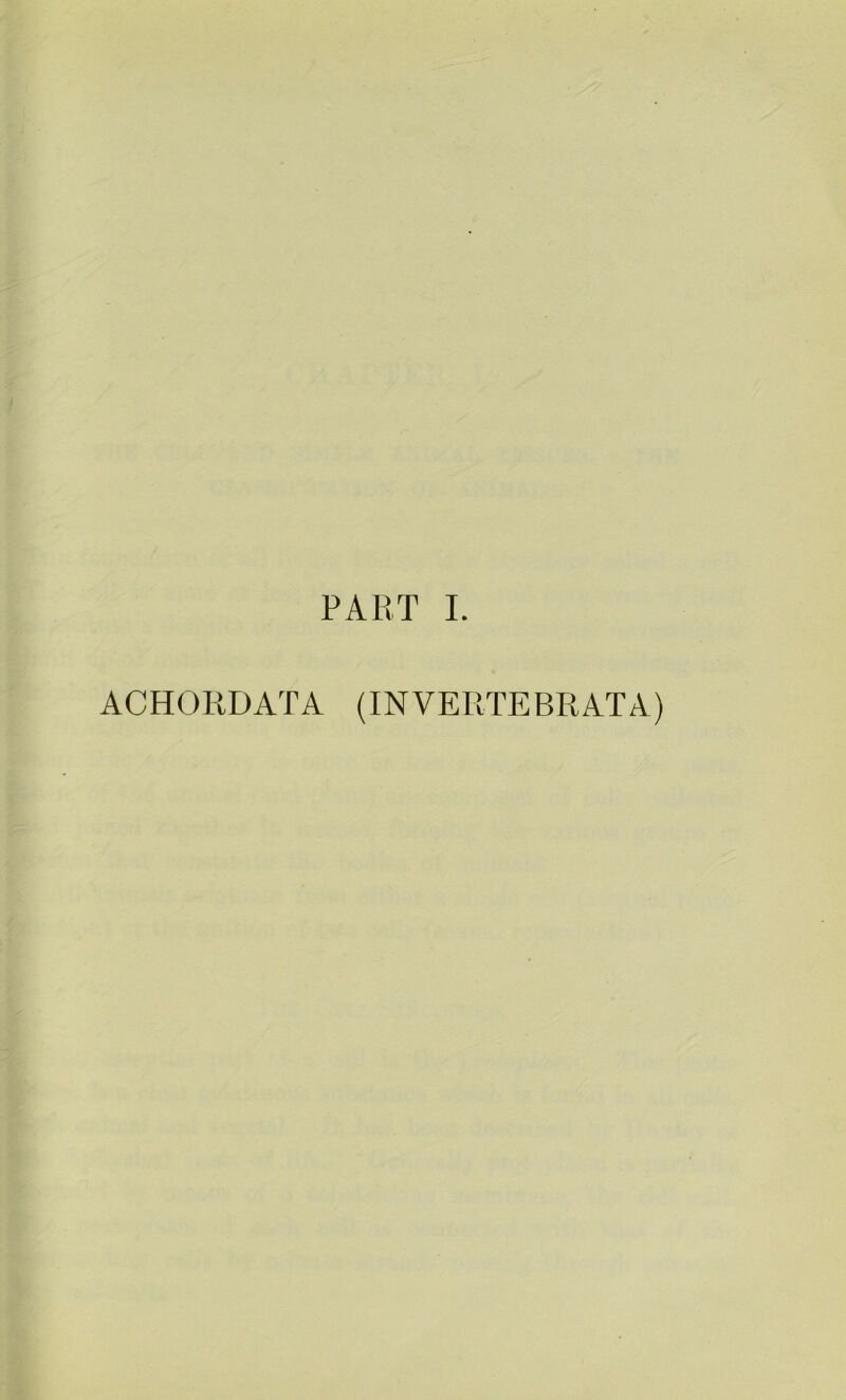 ACHORDATA (INVERTEBRATA)