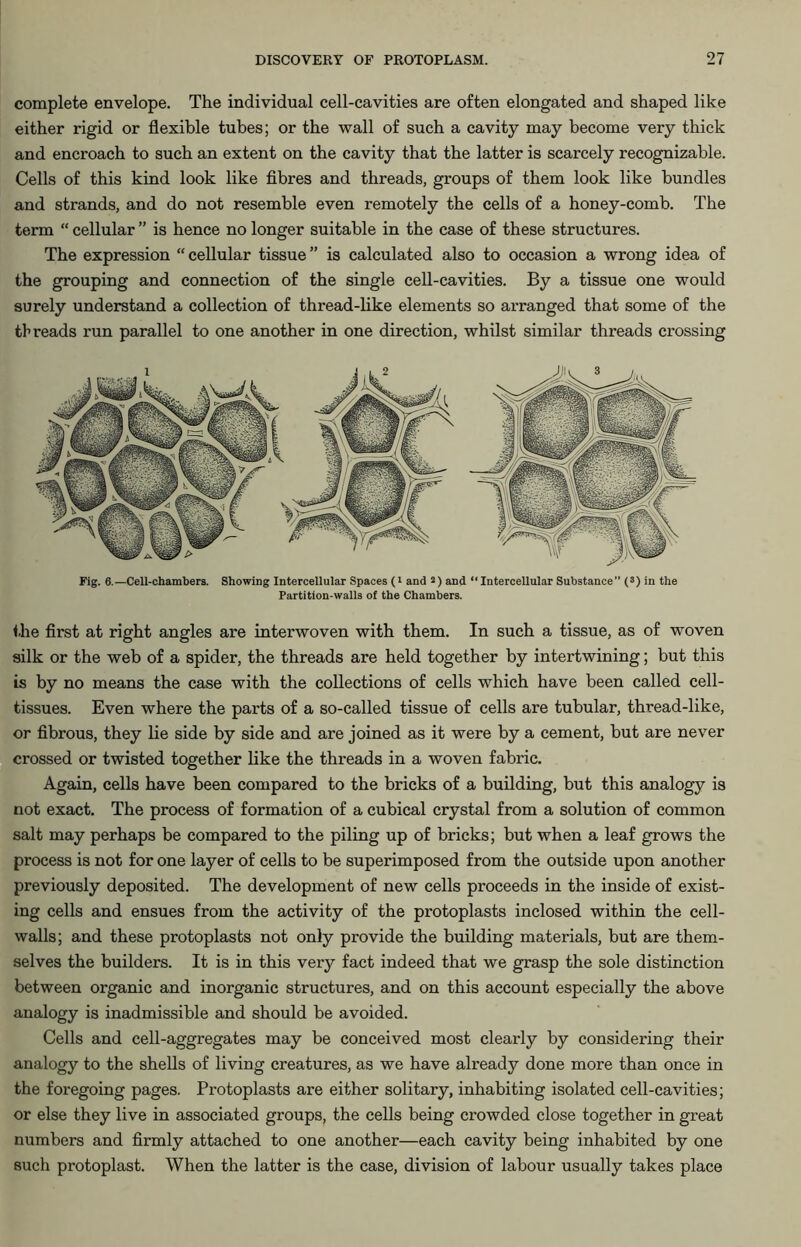 complete envelope. The individual cell-cavities are often elongated and shaped like either rigid or flexible tubes; or the wall of such a cavity may become very thick and encroach to such an extent on the cavity that the latter is scarcely recognizable. Cells of this kind look like fibres and threads, groups of them look like bundles and strands, and do not resemble even remotely the cells of a honey-comb. The term “ cellular ” is hence no longer suitable in the case of these structures. The expression “ cellular tissue ” is calculated also to occasion a wrong idea of the grouping and connection of the single cell-cavities. By a tissue one would surely understand a collection of thread-like elements so arranged that some of the threads run parallel to one another in one direction, whilst similar threads crossing Fig. 6.—Cell-chambers. Showing Intercellular Spaces (1 and 2) and “Intercellular Substance” (3) in the Partition-walls of the Chambers. the first at right angles are interwoven with them. In such a tissue, as of woven silk or the web of a spider, the threads are held together by intertwining; but this is by no means the case with the collections of cells which have been called cell- tissues. Even where the parts of a so-called tissue of cells are tubular, thread-like, or fibrous, they lie side by side and are joined as it were by a cement, but are never crossed or twisted together like the threads in a woven fabric. Again, cells have been compared to the bricks of a building, but this analogy is not exact. The process of formation of a cubical crystal from a solution of common salt may perhaps be compared to the piling up of bricks; but when a leaf grows the process is not for one layer of cells to be superimposed from the outside upon another previously deposited. The development of new cells proceeds in the inside of exist- ing cells and ensues from the activity of the protoplasts inclosed within the cell- walls; and these protoplasts not only provide the building materials, but are them- selves the builders. It is in this very fact indeed that we grasp the sole distinction between organic and inorganic structures, and on this account especially the above analogy is inadmissible and should be avoided. Cells and cell-aggregates may be conceived most clearly by considering their analogy to the shells of living creatures, as we have already done more than once in the foregoing pages. Protoplasts are either solitary, inhabiting isolated cell-cavities; or else they live in associated groups, the cells being crowded close together in great numbers and firmly attached to one another—each cavity being inhabited by one such protoplast. When the latter is the case, division of labour usually takes place