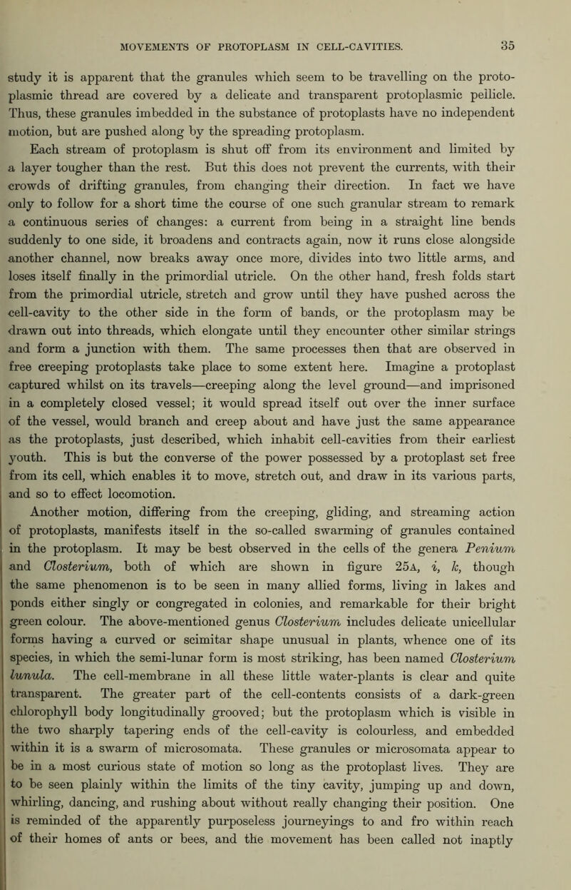 study it is apparent that the granules which seem to be travelling on the proto- plasmic thread are covered by a delicate and transparent protoplasmic pellicle. Thus, these granules imbedded in the substance of protoplasts have no independent motion, but are pushed along by the spreading protoplasm. Each stream of protoplasm is shut off from its environment and limited by a layer tougher than the rest. But this does not prevent the currents, with their crowds of drifting granules, from changing their direction. In fact we have only to follow for a short time the course of one such granular stream to remark a continuous series of changes: a current from being in a straight line bends suddenly to one side, it broadens and contracts again, now it runs close alongside another channel, now breaks away once more, divides into two little arms, and loses itself finally in the primordial utricle. On the other hand, fresh folds start from the primordial utricle, stretch and grow until they have pushed across the cell-cavity to the other side in the form of bands, or the protoplasm may be drawn out into threads, which elongate until they encounter other similar strings and form a junction with them. The same processes then that are observed in free creeping protoplasts take place to some extent here. Imagine a protoplast captured whilst on its travels—creeping along the level ground—and imprisoned in a completely closed vessel; it would spread itself out over the inner surface of the vessel, would branch and creep about and have just the same appearance as the protoplasts, just described, which inhabit cell-cavities from their earliest youth. This is but the converse of the power possessed by a protoplast set free from its cell, which enables it to move, stretch out, and draw in its various parts, and so to effect locomotion. Another motion, differing from the creeping, gliding, and streaming action of protoplasts, manifests itself in the so-called swarming of granules contained in the protoplasm. It may be best observed in the cells of the genera Penium and Closterium, both of which are shown in figure 25a, i, k, though the same phenomenon is to be seen in many allied forms, living in lakes and ponds either singly or congregated in colonies, and remarkable for their bright green colour. The above-mentioned genus Closterium includes delicate unicellular forms having a curved or scimitar shape unusual in plants, whence one of its species, in which the semi-lunar form is most striking, has been named Closterium lunula. The cell-membrane in all these little water-plants is clear and quite transparent. The greater part of the cell-contents consists of a dark-green chlorophyll body longitudinally grooved; but the protoplasm which is visible in the two sharply tapering ends of the cell-cavity is colourless, and embedded within it is a swarm of microsomata. These granules or microsomata appear to be in a most curious state of motion so long as the protoplast lives. They are to be seen plainly within the limits of the tiny cavity, jumping up and down, whirling, dancing, and rushing about without really changing their position. One is reminded of the apparently purposeless journeyings to and fro within reach of their homes of ants or bees, and the movement has been called not inaptly