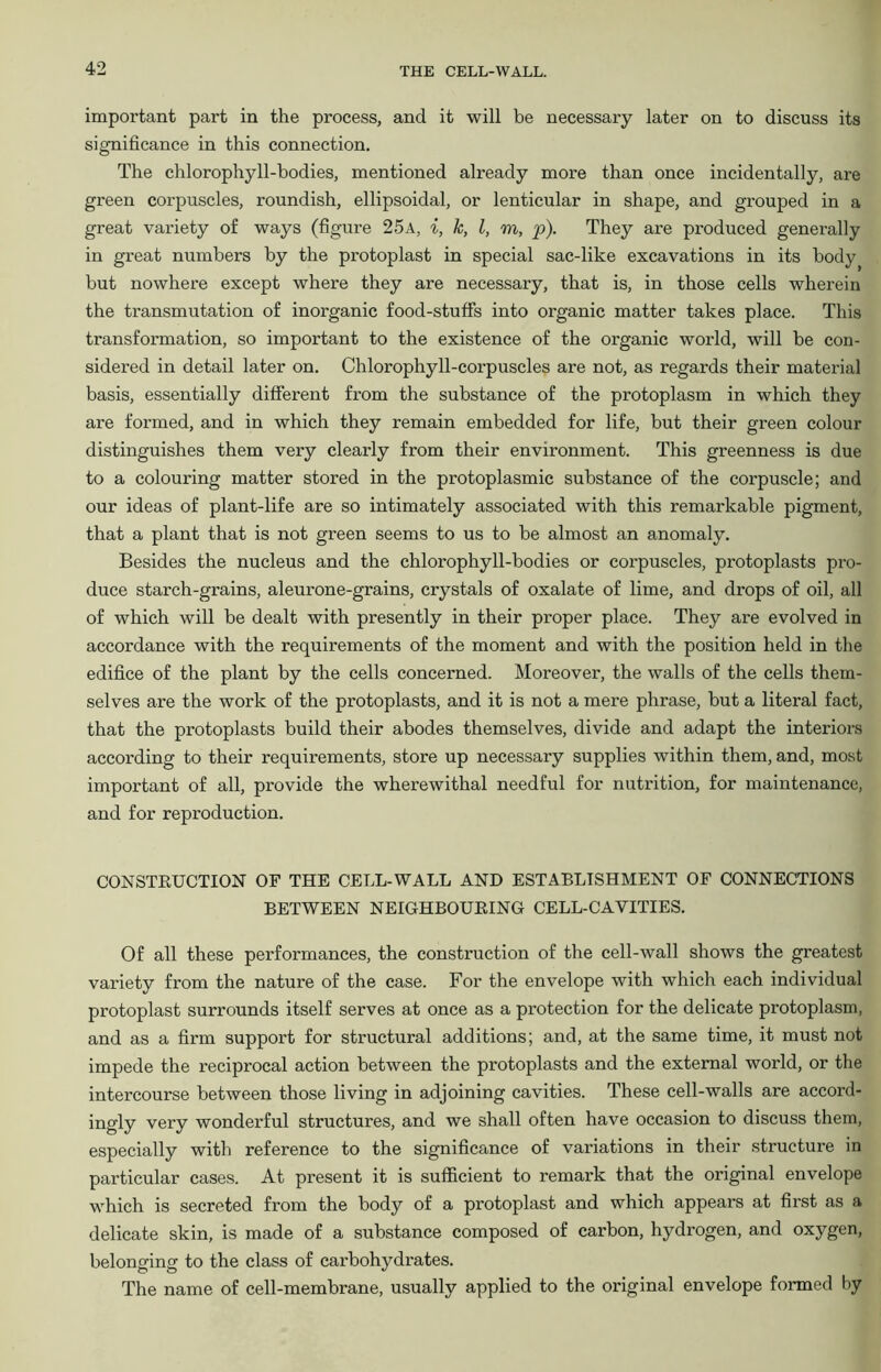 important part in the process, and it will be necessary later on to discuss its significance in this connection. The chlorophyll-bodies, mentioned already more than once incidentally, are green corpuscles, roundish, ellipsoidal, or lenticular in shape, and grouped in a great variety of ways (figure 25a, i, k, l, m, p). They are produced generally in great numbers by the protoplast in special sac-like excavations in its body but nowhere except where they are necessary, that is, in those cells wherein the transmutation of inorganic food-stuffs into organic matter takes place. This transformation, so important to the existence of the organic world, will be con- sidered in detail later on. Chlorophyll-corpuscles are not, as regards their material basis, essentially different from the substance of the protoplasm in which they are formed, and in which they remain embedded for life, but their green colour distinguishes them very clearly from their environment. This greenness is due to a colouring matter stored in the protoplasmic substance of the corpuscle; and our ideas of plant-life are so intimately associated with this remarkable pigment, that a plant that is not green seems to us to be almost an anomaly. Besides the nucleus and the chlorophyll-bodies or corpuscles, protoplasts pro- duce starch-grains, aleurone-grains, crystals of oxalate of lime, and drops of oil, all of which will be dealt with presently in their proper place. They are evolved in accordance with the requirements of the moment and with the position held in the edifice of the plant by the cells concerned. Moreover, the walls of the cells them- selves are the work of the protoplasts, and it is not a mere phrase, but a literal fact, that the protoplasts build their abodes themselves, divide and adapt the interiors according to their requirements, store up necessary supplies within them, and, most important of all, provide the wherewithal needful for nutrition, for maintenance, and for reproduction. CONSTRUCTION OF THE CELL-WALL AND ESTABLISHMENT OF CONNECTIONS BETWEEN NEIGHBOURING CELL-CAVITIES. Of all these performances, the construction of the cell-wall shows the greatest variety from the nature of the case. For the envelope with which each individual protoplast surrounds itself serves at once as a protection for the delicate protoplasm, and as a firm support for structural additions; and, at the same time, it must not impede the reciprocal action between the protoplasts and the external world, or the intercourse between those living in adjoining cavities. These cell-walls are accord- ingly very wonderful structures, and we shall often have occasion to discuss them, especially with reference to the significance of variations in their structure in particular cases. At present it is sufficient to remark that the original envelope which is secreted from the body of a protoplast and which appears at first as a delicate skin, is made of a substance composed of carbon, hydrogen, and oxygen, belonging to the class of carbohydrates. The name of cell-membrane, usually applied to the original envelope formed by