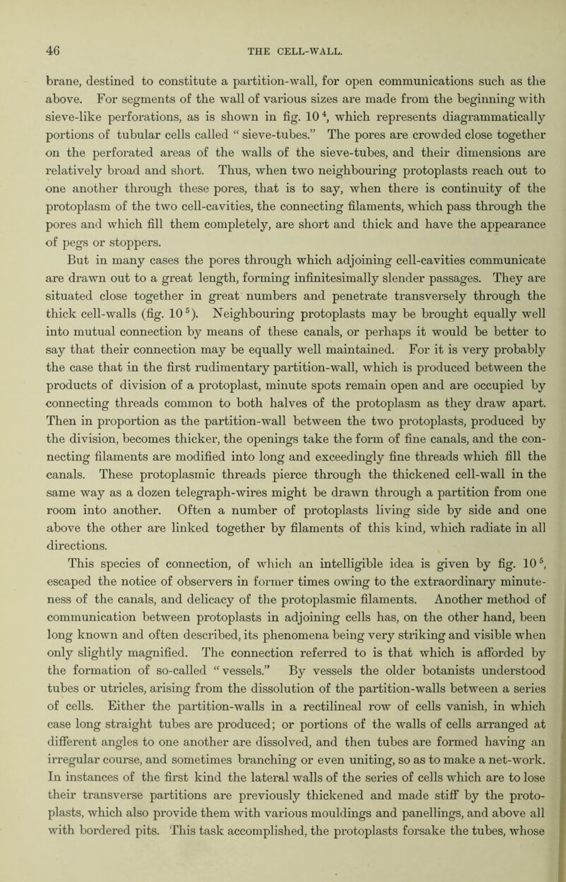 brane, destined to constitute a partition-wall, for open communications such as the above. For segments of the wall of various sizes are made from the beginning with sieve-like perforations, as is shown in fig. 10 4, which represents diagrammatically portions of tubular cells called “ sieve-tubes.” The pores are crowded close together on the perforated areas of the walls of the sieve-tubes, and their dimensions are relatively broad and short. Thus, when two neighbouring protoplasts reach out to one another through these pores, that is to say, when there is continuity of the protoplasm of the two cell-cavities, the connecting filaments, which pass through the pores and which fill them completely, are short and thick and have the appearance of pegs or stoppers. But in many cases the pores through which adjoining cell-cavities communicate are drawn out to a great length, forming infinitesimally slender passages. They are situated close together in great numbers and penetrate transversely through the thick cell-walls (fig. 105). Neighbouring protoplasts may be brought equally well into mutual connection by means of these canals, or perhaps it would be better to say that their connection may be equally well maintained. For it is very probably the case that in the first rudimentary partition-wall, which is produced between the products of division of a protoplast, minute spots remain open and are occupied by connecting threads common to both halves of the protoplasm as they draw apart. Then in proportion as the partition-wall between the two protoplasts, produced by the division, becomes thicker, the openings take the form of fine canals, and the con- necting filaments are modified into long and exceedingly fine threads which fill the canals. These protoplasmic threads pierce through the thickened cell-wall in the same way as a dozen telegraph-wires might be drawn through a partition from one room into another. Often a number of protoplasts living side by side and one above the other are linked together by filaments of this kind, which radiate in all directions. This species of connection, of which an intelligible idea is given by fig. 105, escaped the notice of observers in former times owing to the extraordinary minute- ness of the canals, and delicacy of the protoplasmic filaments. Another method of communication between protoplasts in adjoining cells has, on the other hand, been long known and often described, its phenomena being very striking and visible when only slightly magnified. The connection referred to is that which is afforded by the formation of so-called “ vessels.” By vessels the older botanists understood tubes or utricles, arising from the dissolution of the partition-walls between a series of cells. Either the partition-walls in a rectilineal row of cells vanish, in which case long straight tubes are produced; or portions of the walls of cells arranged at different angles to one another are dissolved, and then tubes are formed having an irregular course, and sometimes branching or even uniting, so as to make a net-work. In instances of the first kind the lateral walls of the sei'ies of cells which are to lose their transverse partitions are previously thickened and made stiff by the proto- plasts, which also pi'ovide them with various mouldings and panellings, and above all with bordered pits. This task accomplished, the protoplasts forsake the tubes, whose