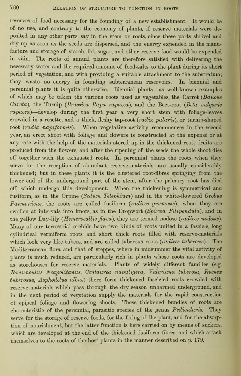 reserves of food necessary for the founding of a new establishment. It would be of no use, and contrary to the economy of plants, if reserve materials were de- posited in any other parts, say in the stem or roots, since these parts shrivel and dry up as soon as the seeds are dispersed, and the energy expended in the manu- facture and storage of starch, fat, sugar, and other reserve food would be expended in vain. The roots of annual plants are therefore satisfied with delivering the necessary water and the required amount of food-salts to the plant during its short period of vegetation, and with providing a suitable attachment to the substratum; they waste no energy in founding subterranean reservoirs. In biennial and perennial plants it is quite otherwise. Biennial plants—as well-known examples of which may be taken the various roots used as vegetables, the Carrot (Daucus Carota), the Turnip (Brassica Rapa rapacea), and the Beet-root (Beta vulgaris rapacea)—develop during the first year a very short stem with foliage-leaves crowded in a rosette, and a thick, fleshy tap-root (radix palaris), or turnip-shaped root (radix napiformis). When vegetative activity recommences in the second year, an erect shoot with foliage and flowers is constructed at the expense or at any rate with the help of the materials stored up in the thickened root; fruits are produced from the flowers, and after the ripening of the seeds the whole shoot dies off together with the exhausted roots. In perennial plants the roots, when they serve for the reception of abundant reserve-materials, are usually considerably thickened; but in these plants it is the clustered root-fibres springing from the lower end of the underground part of the stem, after the primary root has died off, which undergo this development. When the thickening is symmetrical and fusiform, as in the Orpine (Sedum Telephium) and in the white-flowered Orobus Pannonicus, the roots are called fusiform (radices grumosce)] when they are swollen at intervals into knots, as in the Dropwort (Spiraea Filipendula), and in the yellow Day-lily (Hemerocallis fiava), they are termed nodose (radices nodosce). Many of our terrestrial orchids have two kinds of roots united in a fascicle, long cylindrical vermiform roots and short thick roots filled with reserve-materials which look very like tubers, and are called tuberous roots (radices tuberosce). The Mediterranean flora and that of steppes, where in midsummer the vital activity of plants is much reduced, are particularly rich in plants whose roots are developed as storehouses for reserve materials. Plants of widely different families (e.g. Ranunculus Neapolitanus, Centaurea napuligera, Valeriana tuberosa, Rumex tuberosus, Asphodelus albus) there form thickened fascicled roots crowded with reserve-materials which pass through the dry season unharmed underground, and in the next period of vegetation supply the materials for the rapid construction of epigeal foliage and flowering shoots. These thickened bundles of roots are characteristic of the perennial, parasitic species of the genus Pedicularis. They serve for the storage of reserve foods, for the fixing of the plant, and for the absorp- tion of nourishment, but the latter function is here carried on by means of suckers, which are developed at the end of the thickened fusiform fibres, and which attach themselves to the roots of the host plants in the manner described on p. 179.