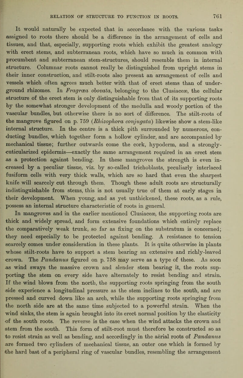 It would naturally be expected that in accordance with the various tasks assigned to roots there should be a difference in the arrangement of cells and tissues, and that, especially, supporting roots which exhibit the greatest analogy with erect stems, and subterranean roots, which have so much in common with procumbent and subterranean stem-structures, should resemble them in internal structure. Columnar roots cannot really be distinguished from upright stems in their inner construction, and stilt-roots also present an arrangement of cells and vessels which often agrees much better with that of erect stems than of under- ground rhizomes. In Fragrcea obovata, belonging to the Clusiacese, the cellular structure of the erect stem is only distinguishable from that of its supporting roots by the somewhat stronger development of the medulla and woody portion of the vascular bundles, but otherwise there is no sort of difference. The stilt-roots of the mangrove figured on p. 759 (Rliizophora conjugate*,) likewise show a stem-like internal structure. In the centre is a thick pith surrounded by numerous, con- ducting bundles, which together form a hollow cylinder, and are accompanied by mechanical tissue; further outwards come the cork, hypoderm, and a strongly- cuticularized epidermis—exactly the same arrangement required in an erect stem as a protection against bending. In these mangroves the strength is even in- creased by a peculiar tissue, viz. by so-called trichoblasts, peculiarly interlaced fusiform cells with very thick walls, which are so hard that even the sharpest knife will scarcely cut through them. Though these adult roots are structurally indistinguishable from stems, this is not usually true of them at early stages in their development. When young, and as yet unthickened, these roots, as a rule, possess an internal structure characteristic of roots in general. In mangroves and in the earlier mentioned Clusiacese, the supporting roots are thick and widely spread, and form extensive foundations which entirely replace the comparatively weak trunk, so far as fixing on the substratum is concerned; they need especially to be protected against bending. A resistance to tension scarcely comes under consideration in these plants. It is quite otherwise in plants whose stilt-roots have to support a stem bearing an extensive and richly-leaved •crown. The Pandanus figured on p. 758 may serve as a type of these. As soon as wind sways the massive crown and slender stem bearing it, the roots sup- porting the stem on every side have alternately to resist bending and strain. If the wind blows from the north, the supporting roots springing from the south side experience a longitudinal pressure as the stem inclines to the south, and are pressed and curved down like an arch, while the supporting roots springing from the north side are at the same time subjected to a powerful strain. When the wind sinks, the stem is again brought into its erect normal position by the elasticity of the south roots. The reverse is the case when the wind attacks the crown and stem from the south. This form of stilt-root must therefore be constructed so as to resist strain as well as bending, and accordingly in the aerial roots of Pandanus are formed two cylinders of mechanical tissue, an outer one which is formed by the hard bast of a peripheral ring of vascular bundles, resembling the arrangement