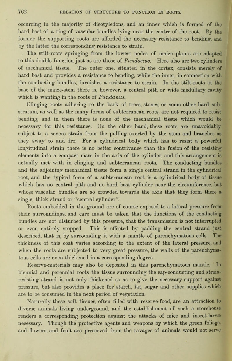 occurring in the majority of dicotyledons, and an inner which is formed of the hard bast of a ring of vascular bundles lying near the centre of the root. By the former the supporting roots are afforded the necessary resistance to bending, and by the latter the corresponding resistance to strain. The stilt-roots springing from the lowest nodes of maize-plants are adapted to this double function just as are those of Pandanus. Here also are two cylinders of mechanical tissue. The outer one, situated in the cortex, consists merely of hard bast and provides a resistance to bending, while the inner, in connection with the conducting bundles, furnishes a resistance to strain. In the stilt-roots at the base of the maize-stem there is, however, a central pith or wide medullary cavity which is wanting in the roots of Pandanus. Clinging roots adhering to the bark of trees, stones, or some other hard sub- stratum, as well as the many forms of subterranean roots, are not required to resist bending, and in them there is none of the mechanical tissue which would be necessary for this resistance. On the other hand, these roots are unavoidably subject to a severe strain from the pulling exerted by the stem and branches as they sway to and fro. For a cylindrical body which has to resist a powerful longitudinal strain there is no better contrivance than the fusion of the resisting elements into a compact mass in the axis of the cylinder, and this arrangement is actually met with in clinging and subterranean roots. The conducting bundles and the adjoining mechanical tissue form a single central strand in the cylindrical root, and the typical form of a subterranean root is a cylindrical body of tissue which has no central pith and no hard bast cylinder near the circumference, but whose vascular bundles are so crowded towards the axis that they form there a single, thick strand or “central cylinder”. Roots embedded in the ground are of course exposed to a lateral pressure from their surroundings, and care must be taken that the functions of the conducting bundles are not disturbed by this pressure, that the transmission is not interrupted or even entirely stopped. This is effected by padding the central strand just described, that is, by surrounding it with a mantle of parenchymatous cells. The thickness of this coat varies according to the extent of the lateral pressure, and when the roots are subjected to very great pressure, the walls of the parenchyma- tous cells are even thickened in a corresponding degree. Reserve-materials may also be deposited in this parenchymatous mantle. In biennial and perennial roots the tissue surrounding the sap-conducting and strain- resisting strand is not only thickened so as to give the necessary support against pressure, but also provides a place for' starch, fat, sugar and other supplies which are to be consumed in the next period of vegetation. Naturally these soft tissues, often filled with reserve-food, are an attraction to diverse animals living underground, and the establishment of such a storehouse renders a corresponding protection against the attacks of mice and insect-larvae necessary. Though the protective agents and weapons by which the green foliage, and flowers, and fruit are preserved from the ravages of animals would not serve