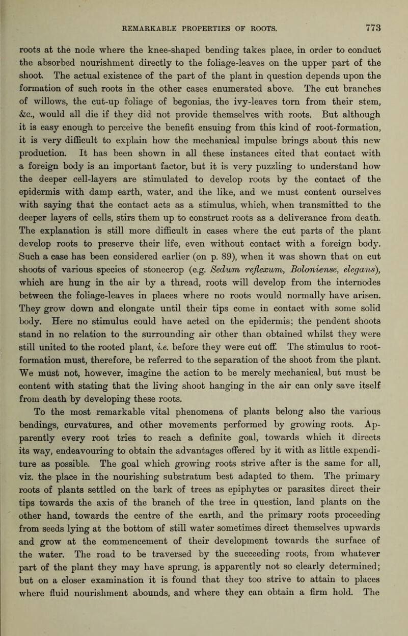 roots at the node where the knee-shaped bending takes place, in order to conduct the absorbed nourishment directly to the foliage-leaves on the upper part of the shoot. The actual existence of the part of the plant in question depends upon the formation of such roots in the other cases enumerated above. The cut branches of willows, the cut-up foliage of begonias, the ivy-leaves tom from their stem, &c., would all die if they did not provide themselves with roots. But although it is easy enough to perceive the benefit ensuing from this kind of root-formation, it is very difficult to explain how the mechanical impulse brings about this new production. It has been shown in all these instances cited that contact with a foreign body is an important factor, but it is very puzzling to understand how the deeper cell-layers are stimulated to develop roots by the contact of the epidermis with damp earth, water, and the like, and we must content ourselves with saying that the contact acts as a stimulus, which, when transmitted to the deeper layers of cells, stirs them up to construct roots as a deliverance from death. The explanation is still more difficult in cases where the cut parts of the plant develop roots to preserve their life, even without contact with a foreign body. Such a case has been considered earlier (on p. 89), when it was shown that on cut shoots of various species of stonecrop (e.g. Sedum reflex um, Boloniense, elegans), which are hung in the air by a thread, roots will develop from the internodes between the foliage-leaves in places where no roots would normally have arisen. They grow down and elongate until their tips come in contact with some solid body. Here no stimulus could have acted on the epidermis; the pendent shoots stand in no relation to the surrounding air other than obtained whilst they were still united to the rooted plant, i.e. before they were cut off. The stimulus to root- formation must, therefore, be referred to the separation of the shoot from the plant. We must not, however, imagine the action to be merely mechanical, but must be content with stating that the living shoot hanging in the air can only save itself from death by developing these roots. To the most remarkable vital phenomena of plants belong also the various bendings, curvatures, and other movements performed by growing roots. Ap- parently every root tries to reach a definite goal, towards which it directs its way, endeavouring to obtain the advantages offered by it with as little expendi- ture as possible. The goal which growing roots strive after is the same for all, viz. the place in the nourishing substratum best adapted to them. The primary roots of plants settled on the bark of trees as epiphytes or parasites direct their tips towards the axis of the branch of the tree in question, land plants on the other hand, towards the centre of the earth, and the primary roots proceeding from seeds lying at the bottom of still water sometimes direct themselves upwards and grow at the commencement of their development towards the surface of the water. The road to be traversed by the succeeding roots, from whatever part of the plant they may have sprung, is apparently not so clearly determined; but on a closer examination it is found that they too strive to attain to places where fluid nourishment abounds, and where they can obtain a firm hold. The