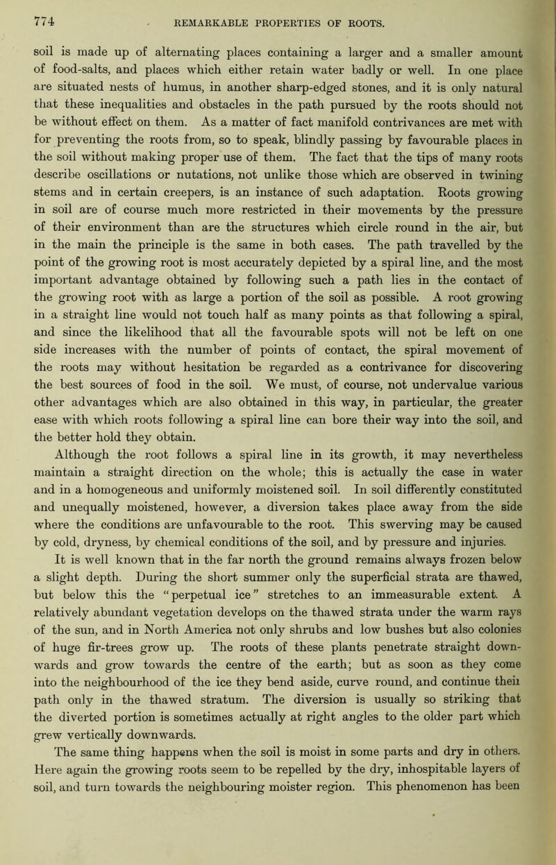 soil is made up of alternating places containing a larger and a smaller amount of food-salts, and places which either retain water badly or well. In one place are situated nests of humus, in another sharp-edged stones, and it is only natural that these inequalities and obstacles in the path pursued by the roots should not be without effect on them. As a matter of fact manifold contrivances are met with for preventing the roots from, so to speak, blindly passing by favourable places in the soil without making proper use of them, The fact that the tips of many roots describe oscillations or nutations, not unlike those which are observed in twining stems and in certain creepers, is an instance of such adaptation. Roots growing in soil are of course much more restricted in their movements by the pressure of their environment than are the structures which circle round in the air, but in the main the principle is the same in both cases. The path travelled by the point of the growing root is most accurately depicted by a spiral line, and the most important advantage obtained by following such a path lies in the contact of the growing root with as large a portion of the soil as possible. A root growing in a straight line would not touch half as many points as that following a spiral, and since the likelihood that all the favourable spots will not be left on one side increases with the number of points of contact, the spiral movement of the roots may without hesitation be regarded as a contrivance for discovering the best sources of food in the soil. We must, of course, not undervalue various other advantages which are also obtained in this way, in particular, the greater ease with which roots following a spiral line can bore their way into the soil, and the better hold they obtain. Although the root follows a spiral line in its growth, it may nevertheless maintain a straight direction on the whole; this is actually the case in water and in a homogeneous and uniformly moistened soil. In soil differently constituted and unequally moistened, however, a diversion takes place away from the side where the conditions are unfavourable to the root. This swerving may be caused by cold, dryness, by chemical conditions of the soil, and by pressure and injuries. It is well known that in the far north the ground remains always frozen below a slight depth. During the short summer only the superficial strata are thawed, but below this the “ perpetual ice ” stretches to an immeasurable extent. A relatively abundant vegetation develops on the thawed strata under the warm rays of the sun, and in North America not only shrubs and low bushes but also colonies of huge fir-trees grow up. The roots of these plants penetrate straight down- wards and grow towards the centre of the earth; but as soon as they come into the neighbourhood of the ice they bend aside, curve round, and continue theii path only in the thawed stratum. The diversion is usually so striking that the diverted portion is sometimes actually at right angles to the older part which grew vertically downwards. The same thing happens when the soil is moist in some parts and dry in others. Here again the growing roots seem to be repelled by the dry, inhospitable layers of soil, and turn towards the neighbouring moister region. This phenomenon has been