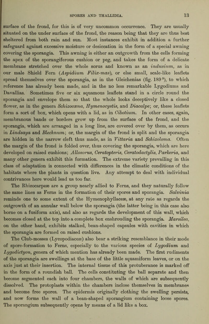 surface of the frond, for this is of very uncommon occurrence. They are usually situated on the under surface of the frond, the reason being that they are thus best sheltered from both rain and sun. Most instances exhibit in addition a further safeguard against excessive moisture or desiccation in the form of a special awning covering the sporangia. This awning is either an outgrowth from the cells forming the apex of the sporangiferous cushion or peg, and takes the form of a delicate membrane stretched over the whole sorus and known as an indusium, as in our male Shield Fern (Aspidium Filix-mas), or else small, scale-like leaflets spread themselves over the sporangia, as in the Gleichenias (fig. 189 9), to which reference has already been made, and in the no less remarkable Lygodiums and Davallias. Sometimes five or six squamous leaflets stand in a circle round the sporangia and envelope them so that the whole looks deceptively like a closed flower, as in the genera Schizoccena, Hymenocystis, and Diacalpe; or, these leaflets form a sort of box, which opens with a lid, as in Cibotium. In other cases, again, membranous bands or borders grow up from the surface of the frond, and the sporangia, which are arranged in a long line, are covered over by them, as occurs in Lindsay a and Blechnum; or, the margin of the frond is split and the sporangia are hidden in the narrow cleft thus made, as in Vittaria and Schizoloma. Often the margin of the frond is folded over, thus covering the sporangia, which are here developed on raised cushions; Allosorus, Ceratopteris, Ceratodactylis, Parkeria, and many other genera exhibit this formation. The extreme variety prevailing in this class of adaptation is connected with differences in the climatic conditions of the habitats where the plants in question live. Any attempt to deal with individual contrivances here would lead us too far. The Rhizocarpese are a group nearly allied to Ferns, and they naturally follow the same lines as Ferns in the formation of their spores and sporangia. Salvinia reminds one to some extent of the Hymenophyllaceae, at any rate as regards the outgrowth of an annular wall below the sporangia (the latter being in this case also borne on a fusiform axis), and also as regards the development of this wall, which becomes closed at the top into a complete box enshrouding the sporangia. Marsilea, on the other hand, exhibits stalked, bean-shaped capsules with cavities in which the sporangia are formed on raised cushions. The Club-mosses (Lycopodiacese) also bear a striking resemblance in their mode of spore-formation to Ferns, especially to the various species of Lygodium and Lygodictyon, genera of which mention has already been made. The first rudiments of the sporangia are swellings at the base of the little squamiform leaves, or on the axis just at their insertion. The internal tissue of this protuberance is marked off in the form of a roundish ball. The cells constituting the ball separate and then become segmented each into four chambers, the walls of which are subsequently dissolved. The protoplasts within the chambers inclose themselves in membranes and become free spores. The epidermis originally clothing the swelling persists, and now forms the wall of a bean-shaped sporangium containing loose spores. The sporangium subsequently opens by means of a lid like a box.