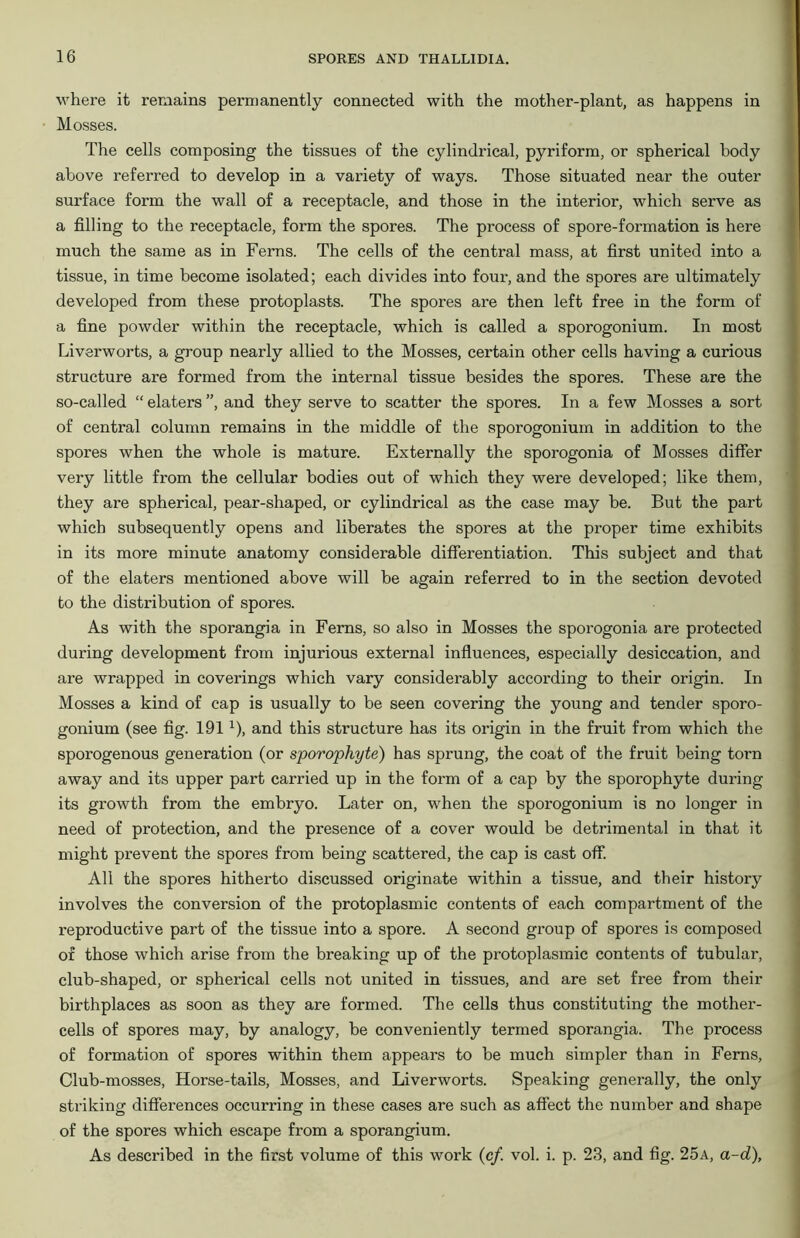 where it remains permanently connected with the mother-plant, as happens in Mosses. The cells composing the tissues of the cylindrical, pyriform, or spherical body above referred to develop in a variety of ways. Those situated near the outer- surface form the wall of a receptacle, and those in the interior, which serve as a filling to the receptacle, form the spores. The process of spore-formation is here much the same as in Ferns. The cells of the central mass, at first united into a tissue, in time become isolated; each divides into four, and the spores are ultimately developed from these protoplasts. The spores are then left free in the form of a fine powder within the receptacle, which is called a sporogonium. In most Liverworts, a group nearly allied to the Mosses, certain other cells having a curious structure are formed from the internal tissue besides the spores. These are the so-called “ elaters ”, and they serve to scatter the spores. In a few Mosses a sort of central column remains in the middle of the sporogonium in addition to the spores when the whole is mature. Externally the sporogonia of Mosses differ very little from the cellular bodies out of which they were developed; like them, they are spherical, pear-shaped, or cylindrical as the case may be. But the part which subsequently opens and liberates the spores at the proper time exhibits in its more minute anatomy considerable differentiation. This subject and that of the elaters mentioned above will be again referred to in the section devoted to the distribution of spores. As with the sporangia in Ferns, so also in Mosses the sporogonia are protected during development from injurious external influences, especially desiccation, and are wrapped in coverings which vary considerably according to their origin. In Mosses a kind of cap is usually to be seen covering the young and tender sporo- gonium (see fig. 1911), and this structure has its origin in the fruit from which the sporogenous generation (or sporophyte) has sprung, the coat of the fruit being torn away and its upper part carried up in the form of a cap by the sporophyte during its growth from the embryo. Later on, when the sporogonium is no longer in need of protection, and the presence of a cover would be detrimental in that it might prevent the spores from being scattered, the cap is cast off. All the spores hitherto discussed originate within a tissue, and their history involves the conversion of the protoplasmic contents of each compartment of the reproductive part of the tissue into a spore. A second group of spores is composed of those which arise from the breaking up of the protoplasmic contents of tubular, club-shaped, or spherical cells not united in tissues, and are set free from their birthplaces as soon as they are formed. The cells thus constituting the mother- cells of spores may, by analogy, be conveniently termed sporangia. The process of formation of spores within them appears to be much simpler than in Ferns, Club-mosses, Horse-tails, Mosses, and Liverworts. Speaking generally, the only striking differences occurring in these cases are such as affect the number and shape of the spores which escape from a sporangium. As described in the first volume of this work (cf. vol. i. p. 23, and fig. 25a, a-d),