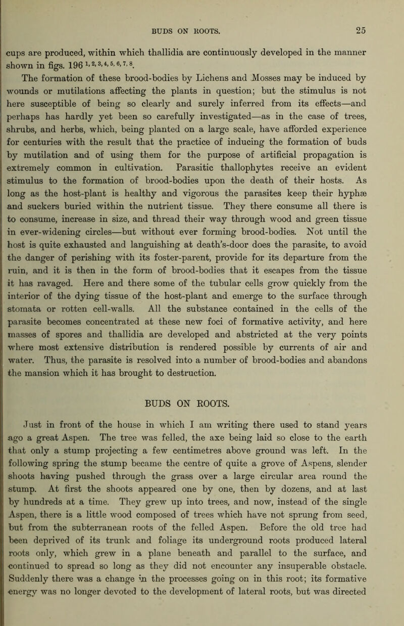 cups are produced, within which thallidia are continuously developed in the manner shown in figs. 196 112- 3>4> 5> 6-7-8. The formation of these brood-bodies by Lichens and Mosses may be induced by wounds or mutilations affecting the plants in question; but the stimulus is not here susceptible of being so clearly and surely inferred from its effects—and perhaps has hardly yet been so carefully investigated—as in the case of trees, shrubs, and herbs, which, being planted on a large scale, have afforded experience for centuries with the result that the practice of inducing the formation of buds by mutilation and of using them for the purpose of artificial propagation is extremely common in cultivation. Parasitic thallophytes I'eceive an evident stimulus to the formation of brood-bodies upon the death of their hosts. As long as the host-plant is healthy and vigorous the parasites keep their hyphse and suckers buried within the nutrient tissue. They there consume all there is to consume, increase in size, and thread their way through wood and green tissue in ever-widening circles—but without ever forming brood-bodies. Not until the host is quite exhausted and languishing at death’s-door does the parasite, to avoid the danger of perishing with its foster-parent, provide for its departure from the ruin, and it is then in the form of brood-bodies that it escapes from the tissue it has ravaged. Here and there some of the tubular cells grow quickly from the interior of the dying tissue of the host-plant and emerge to the surface through stomata or rotten cell-walls. All the substance contained in the cells of the parasite becomes concentrated at these new foci of formative activity, and here masses of spores and thallidia are developed and abstricted at the very points where most extensive distribution is rendered possible by currents of air and water. Thus, the parasite is resolved into a number of brood-bodies and abandons the mansion which it has brought to destruction. BUDS ON ROOTS. Just in front of the house in which I am writing there used to stand years ago a great Aspen. The tree was felled, the axe being laid so close to the earth that only a stump projecting a few centimetres above ground was left. In the following spring the stump became the centre of quite a grove of Aspens, slender shoots having pushed through the grass over a large circular area round the stump. At first the shoots appeared one by one, then by dozens, and at last by hundreds at a time. They grew up into trees, and now, instead of the single Aspen, there is a little wood composed of trees which have not sprung from seed, but from the subterranean roots of the felled Aspen. Before the old tree had been deprived of its trunk and foliage its underground roots produced lateral roots only, which grew in a plane beneath and parallel to the surface, and continued to spread so long as they did not encounter any insuperable obstacle. Suddenly there was a change in the processes going on in this root; its formative energy was no longer devoted to the development of lateral roots, but was directed