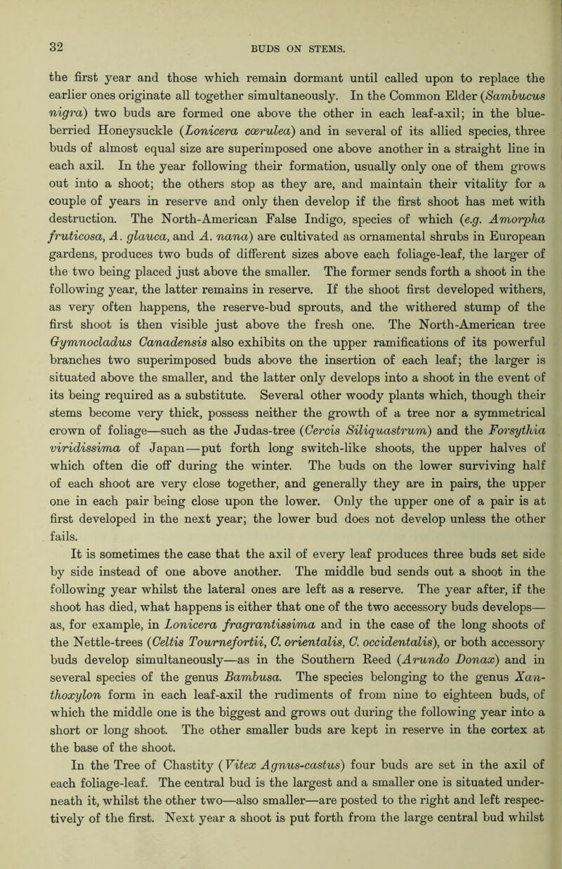 the first year and those which remain dormant until called upon to replace the earlier ones originate all together simultaneously. In the Common Elder (Sambucus nigra) two buds are formed one above the other in each leaf-axil; in the blue- berried Honeysuckle (Lonicera ccerulea) and in several of its allied species, three buds of almost equal size are superimposed one above another in a straight line in each axil. In the year following their formation, usually only one of them grows out into a shoot; the others stop as they are, and maintain their vitality for a couple of years in reserve and only then develop if the first shoot has met with destruction. The North-American False Indigo, species of which (e.g. Amorpha fruticosa, A. glauca, and A. nana) are cultivated as ornamental shrubs in European gardens, produces two buds of different sizes above each foliage-leaf, the larger of the two being placed just above the smaller. The former sends forth a shoot in the following year, the latter remains in reserve. If the shoot first developed withers, as very often happens, the reserve-bud sprouts, and the withered stump of the first shoot is then visible just above the fresh one. The North-American tree Gymnocladus Canadensis also exhibits on the upper ramifications of its powerful branches two superimposed buds above the insertion of each leaf; the larger is situated above the smaller, and the latter only develops into a shoot in the event of its being required as a substitute. Several other woody plants which, though their stems become very thick, possess neither the growth of a tree nor a symmetrical crown of foliage—such as the Judas-tree (Cercis Siliquastrum) and the Forsythia viridissima of Japan—put forth long switch-like shoots, the upper halves of which often die off during the winter. The buds on the lower surviving half of each shoot are very close together, and generally they are in pairs, the upper one in each pair being close upon the lower. Only the upper one of a pair is at first developed in the next year; the lower bud does not develop unless the other fails. It is sometimes the case that the axil of every leaf produces three buds set side by side instead of one above another. The middle bud sends out a shoot in the following year whilst the lateral ones are left as a reserve. The year after, if the shoot has died, what happens is either that one of the two accessory buds develops— as, for example, in Lonicera fragrantissima and in the case of the long shoots of the Nettle-trees (Celtis Tournefortii, C. orientalis, C. occidentalis), or both accessory buds develop simultaneously—as in the Southern Reed (Arundo Donax) and in several species of the genus Bambusa. The species belonging to the genus Xan- thoxylon form in each leaf-axil the rudiments of from nine to eighteen buds, of which the middle one is the biggest and grows out during the following year into a short or long shoot. The other smaller buds are kept in reserve in the cortex at the base of the shoot. In the Tree of Chastity (Vitex Agnus-castus) four buds are set in the axil of each foliage-leaf. The central bud is the largest and a smaller one is situated under- neath it, whilst the other two—also smaller—are posted to the right and left respec- tively of the first. Next year a shoot is put forth from the large central bud whilst