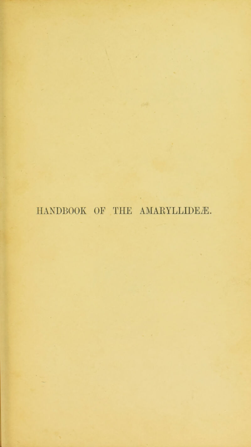 HANDBOOK OF THE AMABYLLIDEiE.