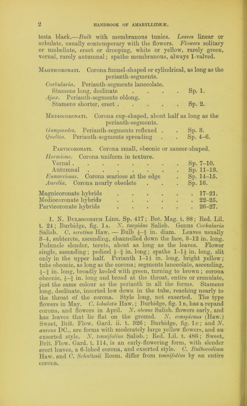 testa black.—Bulb with membranous tunics. Leaves linear or subulate, usually contemporary with the flowers. Flowers solitary or umbellate, erect or drooping, white or yellow, rarely green, vernal, rarely autumnal; spatlie membranous, always 1-valved. Magnicoronati. Corona funnel-shaped or cylindrical, as long as the perianth-segments. Corbulana. Perianth-segments lanceolate. Stamens long, decimate .... Sp. 1. Ajax. Perianth-segments oblong. Stamens shorter, erect ..... Sp. 2. Mediocoronati. Corona cup-sliaped, about half as long as the perianth - segmen ts. (ranymed.es. Perianth-segments reflexed . . Sp. 3. Queltia. Perianth-segments spreading . . Sp. 4-6. Parvicoronati. Corona small, obconic or saucer-shaped. Hermione. Corona uniform in texture. Vernal ........ Sp. 7-10. Autumnal ....... Sp. 11-13. Eunarcissus. Corona scariose at the edge . Sp. 14-15. Aurelia. Corona nearly obsolete . . . Sp. 16. Magnicoronate hybrids ...... 17-21. Mediocoronate hybrids ...... 22-25. Parvicoronate hybrids ...... 26-27. 1. N. Bulbocodium Linn. Sp. 417; Bot. Mag. t. 88; Bed. Lil. t. 24; Burbidge, fig. 1a. N. turgidus Salisb. Genus Corbularia Salisb. C. serotina Haw. — Bulb £-£ in. diam. Leaves usually 3-4, subterete, ascending, channelled down the face, 3-12 in. long. Peduncle slender, terete, about as long as the leaves. Flower single, ascending; pedicel £-£ in. long; spatlie 1-1£ in. long, slit only in the upper half. Perianth 1-1 k in. long, bright yellow; tube obconic, as long as the corona; segments lanceolate, ascending, £-£ in. long, broadly keeled with green, turning to brown ; corona obconic, £-£ in. long and broad at the throat, entire or crenulate, just the same colour as the perianth in all the forms. Stamens long, decimate, inserted low down in the tube, reaching nearly to the throat of the corona. Style long, not exserted. The type flowers in May. C. lobulata Plaw.; Burbidge, fig. 1b, has arepand corona, and flowers in April. N. obesus Salisb. flowers early, and has leaves that lie flat on the ground. X. conspicuus (Haw.) Sweet, Brit. Flow. Gard. ii. t. 326; Burbidge, fig. lc; and N. aureus DC., are forms with moderately large yellow flowers, and an exserted style. X. tenuifolius Salisb.; Bed. Lil. t. 486 ; Sweet, Brit. Flow. Gard. t. 114, is an early-flowering form, with slender erect leaves, a 6-lobed corona, and exserted style. C. Bulbocodium Haw. and C. Schultesii Boem. differ from tenuifolius by an entire corona.