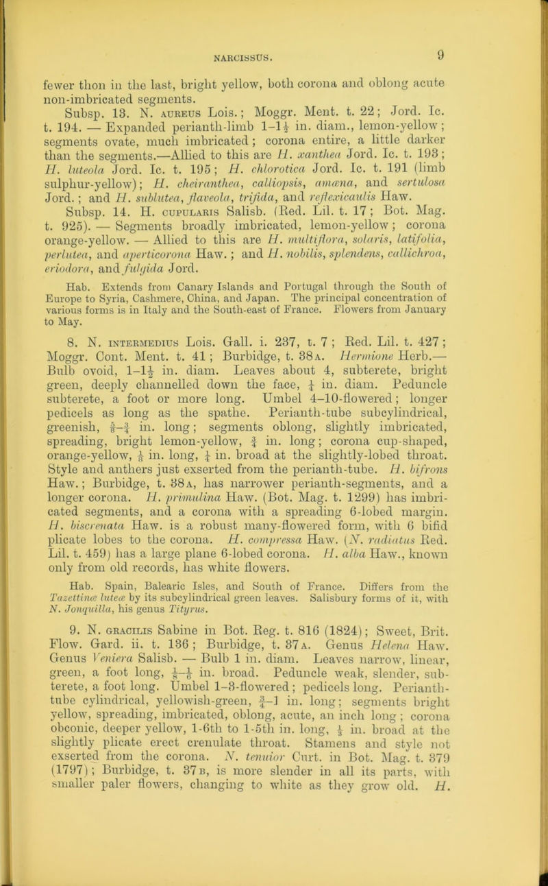 fewer thon in the last, bright yellow, both corona and oblong acute non-imbricated segments. Subsp. 13. N. aureus Lois.; Moggr. Ment. t. 22; Jord. Ic. t. 194. — Expanded perianth-limb 1-H in. diam., lemon-yellow; segments ovate, much imbricated; corona entire, a little darker than the segments.—Allied to this are H. xanthea Jord. Ic. t. 193; H. luteola Jord. Ic. t. 195; H. chlorotica Jord. Ic. t. 191 (limb sulphur-yellow); H. cheiranthea, calliopsis, amcena, and sertulosa Jord.; and II. sublutea, flaveola, trijida, and reflexicaulis Haw. Subsp. 14. H. cupularis Salisb. (Red. Lil. t. 17 ; Bot. Mag. t. 925). — Segments broadly imbricated, lemon-yellow; corona orange-yellow. — Allied to this are H. multiflora, solans, latifolia, perlutea, and aperticorona Haw.; and H. nobilis, splendens, callichroa, eriodora, andfuhjida Jord. Hab. Extends from Canary Islands and Portugal through the South of Europe to Syria, Cashmere, China, and Japan. The principal concentration of various forms is in Italy and the South-east of France. Flowers from January to May. 8. N. intermedius Lois. Gall. i. 237, t. 7 ; Red. Lil. t. 427; Moggr. Cont. Ment. t. 41; Burbidge, t. 38a. Hermione Herb.— Bulb ovoid, 1-1^ in. diam. Leaves about 4, subterete, bright green, deeply channelled down the face, \ in. diam. Peduncle subterete, a foot or more long. Umbel 4-10-flowered; longer pedicels as long as the spatlie. Perianth-tube subcylindrical, greenish, in. long; segments oblong, slightly imbricated, spreading, bright lemon-yellow, f in. long; corona cup-shaped, orange-yellow, £ in. long, I in. broad at the slightly-lobed throat. Style and anthers just exserted from the perianth-tube. H. bifrons Haw.; Burbidge, t. 38a, has narrower perianth-segments, and a longer corona. H. primulina Haw. (Bot. Mag. t. 1299) has imbri- cated segments, and a corona with a spreading 6-lobed margin. H. biscrenata Haw. is a robust many-flowered form, with 6 bifid plicate lobes to the corona. H. compressa Haw. [N. radiatus Red. Lil. t. 459) has a large plane 6-lobed corona. H. alba Haw., known only from old records, has white flowers. Hab. Spain, Balearic Isles, and South of France. Differs from the Tazettince luteec by its subcylindrical green leaves. Salisbury forms of it, with N. Jonquilla, his genus Tityrus. 9. N. gracilis Sabine in Bot. Reg. t. 816 (1824); Sweet, Brit. Flow. Gard. ii. t. 136; Burbidge, t. 37a. Genus Helena Haw. Genus Veniera Salisb. — Bulb 1 in. diam. Leaves narrow, linear, green, a foot long, in. broad. Peduncle weak, slender, sub- terete, a foot long. Umbel 1-3-flowered ; pedicels long. Perianth- tube cylindrical, yellowish-green, f-1 in. long; segments bright yellow, spreading, imbricated, oblong, acute, an inch long ; corona obconic, deeper yellow, l-6tli to l-5tli in. long, £ in. broad at the slightly plicate erect crenulate throat. Stamens and style not exserted from the corona. N. tenuior Curt, in Bot. Mag. t. 379 (1797); Burbidge, t. 37 b, is more slender in all its parts, with smaller paler flowers, changing to white as they grow old. H.