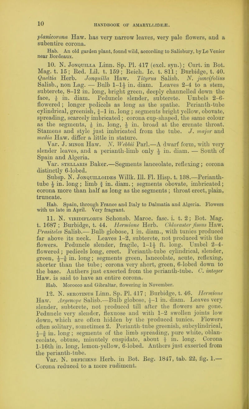 planicorona Haw. lias very narrow leaves, very pale flowers, and a subentire corona. Hab. An old garden plant, found wild, according to Salisbury, by Le Venier near Bordeaux. 10. N. Jonquilla Linn. Sp. PI. 417 (excl. syn.); Curt, in Bot. Mag. t. 15; Red. Lil. t. 159; Reich. Ic. t. 811; Burbidge, t. 40. Qudtia Herb. Jonquilla Haw. Tityrus Salisb. N. juncifolius Salisb., non Lag. — Bulb l-l^ in. diam. Leaves 2-4 to a stem, subterete, 8-12 in. long, bright green, deeply channelled down the face, 4 in. diam. Peduncle slender, subterete. Umbels 2-6- flowered ; longer pedicels as long as the spathe. Periantli-tube cylindrical, greenish, 4-1 in. long ; segments bright yellow, obovate, spreading, scarcely imbricated ; corona cup-shaped, the same colour as the segments, 4 in. long, 4 in. broad at the crenate throat. Stamens and style just imbricated from the tube. J. major and media Haw. differ a little in stature. Var. J. minor Haw. N. Wcbbii Pari.—A dwarf form, with very slender leaves, and a perianth-limb only 4 in. diam. — South of Spain and Algeria. Var. stellaris Baker.—Segments lanceolate, reflexing; corona distinctly 6-lobed. Subsp. N. Jonquilloides Willk. 111. FI. Hisp. t. 138.—Perianth- tube | in. long; limb f in. diam.; segments obovate, imbricated; corona more than half as long as the segments ; throat erect, plain, truncate. Hab. Spain, through France and Italy to Dalmatia and Algeria. Flowers with us late in April. Very fragrant. 11. N. viridiflorus Schonsb. Maroc. fasc. i. t. 2; Bot. Mag. t. 1687 ; Burbidge, t. 44. Hmnione Herb. Chloraster fissus Haw. Prasiteles Salisb.— Bulb globose, 1 in. diam., with tunics produced far above its neck. Leaves 1-2, subterete, not produced with the flowers. Peduncle slender, fragile, 1-14 ft. long. Umbel 2-4- flowered ; pedicels long, erect. Perianth-tube cylindrical, slender, green, in. long; segments green, lanceolate, acute, reflexing, shorter than the tube; corona very short, green, 6-lobed down to the base. Anthers just exserted from the perianth-tube. C. integer Flaw, is said to have an entire corona. Hab. Morocco and Gibraltar, flowering in November. 12. N. serotinus Linn. Sp. PI. 417 ; Burbidge, t. 46. Hermione Haw. Argenope Salisb.—Bulb globose, £-1 in. diam. Leaves very slender, subterete, not produced till after the flowers are gone. Peduncle very slender, fiexuose and with 1-2 swollen joints low down, which are often hidden by the produced tunics. Flowers often solitary, sometimes 2. Perianth-tube greenish, subcylindrical, i-f in. long ; segments of the limb spreading, pure white, oblan- ceolate, obtuse, minutely cuspidate, about 4 in. long. Corona l-16tli in. long, lemon-yellow, 6-lobed. Anthers just exserted Rom the periantli-tube. Var. N. deficiens Herb, in Bot. Reg. 1847, tab. 22, fig. 1.— Corona reduced to a mere rudiment.