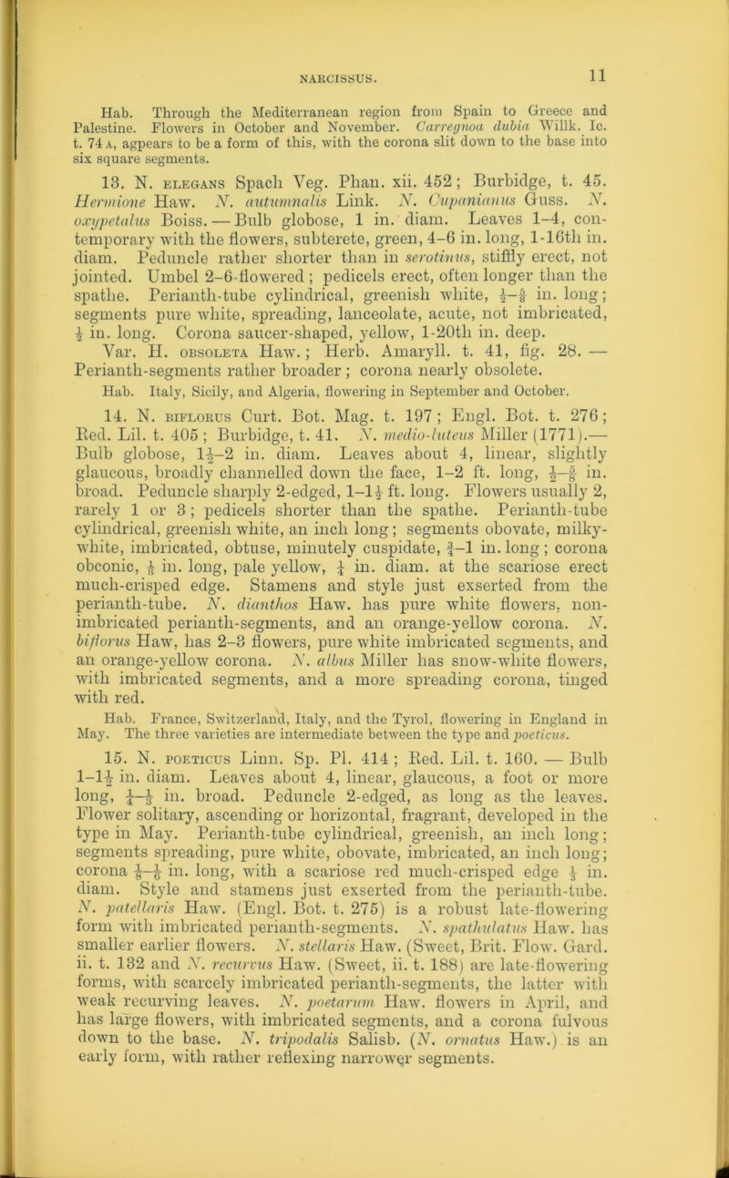 Hab. Through the Mediterranean region from Spain to Greece and Palestine. Flowers in October and November. Carregnoa dubia A\ illk. Ic. t. 74 a, agpears to be a form of this, with the corona slit down to the base into six square segments. 13. N. elegans Spacli Veg. Plian. xii. 452; Burbidge, t. 45. Hermione Haw. N. autumnalis Link. N. Cupanianus Gnss. N. oxypetahis Boiss. — Bulb globose, 1 in. diam. Leaves 1-4, con- temporary with the flowers, subterete, green, 4-G in. long, 1-16th in. diam. Peduncle rather shorter than in serotinus, stiffly erect, not jointed. Umbel 2-6-flowered ; pedicels erect, often longer than the spathe. Perianth-tube cylindrical, greenish white, in. long; segments pure white, spreading, lanceolate, acute, not imbricated, 4 in. long. Corona saucer-shaped, yellow, l-20tli in. deep. Var. H. obsoleta Haw.; Herb. Amaryll. t. 41, fig. 28. — Perianth-segments rather broader ; corona nearly obsolete. Hub. Italy, Sicily, and Algeria, flowering in September and October. 14. N. biflorus Curt. Bot. Mag. t. 197; Engl. Bot. t. 276; Red. Lil. t. 405 ; Burbidge, t. 41. N. medio-lute us Miller (1771).— Bulb globose, 1^-2 in. diam. Leaves about 4, linear, slightly glaucous, broadly channelled down the face, 1-2 ft. long, -J-f in. broad. Peduncle sharply 2-edged, 1-14 ft. long. Flowers usually 2, rarely 1 or 3 ; pedicels shorter than the spathe. Periantli-tube cylindrical, greenish white, an inch long; segments obovate, milky- white, imbricated, obtuse, minutely cuspidate, f-1 in.long; corona obconic, 4 hi. long, pale yellow, £ in. diam. at the scariose erect much-crisped edge. Stamens and style just exserted from the periantli-tube. N. dianthos Haw. has pure white flowers, lion- imbricated perianth-segments, and an orange-yellow corona. lY. bifiorus Haw, has 2-3 flowers, pure white imbricated segments, and an orange-yellow corona. Y. albus Miller has snow-white flowers, with imbricated segments, and a more spreading corona, tinged with red. Hub. France, Switzerland, Italy, and the Tyrol, flowering in England in May. The three varieties are intermediate between the type and poeticus. 15. N. poeticus Linn. Sp. PI. 414 ; Red. Lil. t. 160. — Bulb 1-14 in. diam. Leaves about 4, linear, glaucous, a foot or more long, in. broad. Peduncle 2-edged, as long as the leaves. Flower solitary, ascending or horizontal, fragrant, developed in the type in May. Periantli-tube cylindrical, greenish, an inch long; segments spreading, pure white, obovate, imbricated, an inch long; corona in. long, with a scariose red mucli-crisped edge 4 in. diam. Style and stamens just exserted from the periantli-tube. N. patellaris Haw. (Engl. Bot. t. 275) is a robust late-flowering form with imbricated perianth-segments. Y. spatliulatus Haw. has smaller earlier flowers. Y. stellaris Haw. (Sweet, Brit. Flow. Gard. ii. t. 132 and X. recurvus Haw. (Sweet, ii. t. 188) are late-flowering forms, with scarcely imbricated perianth-segments, the latter with weak recurving leaves. Y. poetarum Haw. flowers in April, and has large flowers, with imbricated segments, and a corona fulvous down to the base. N. tripodalis Salisb. (Y. ornatus Haw.) is an early form, with rather reflexing narrower segments.