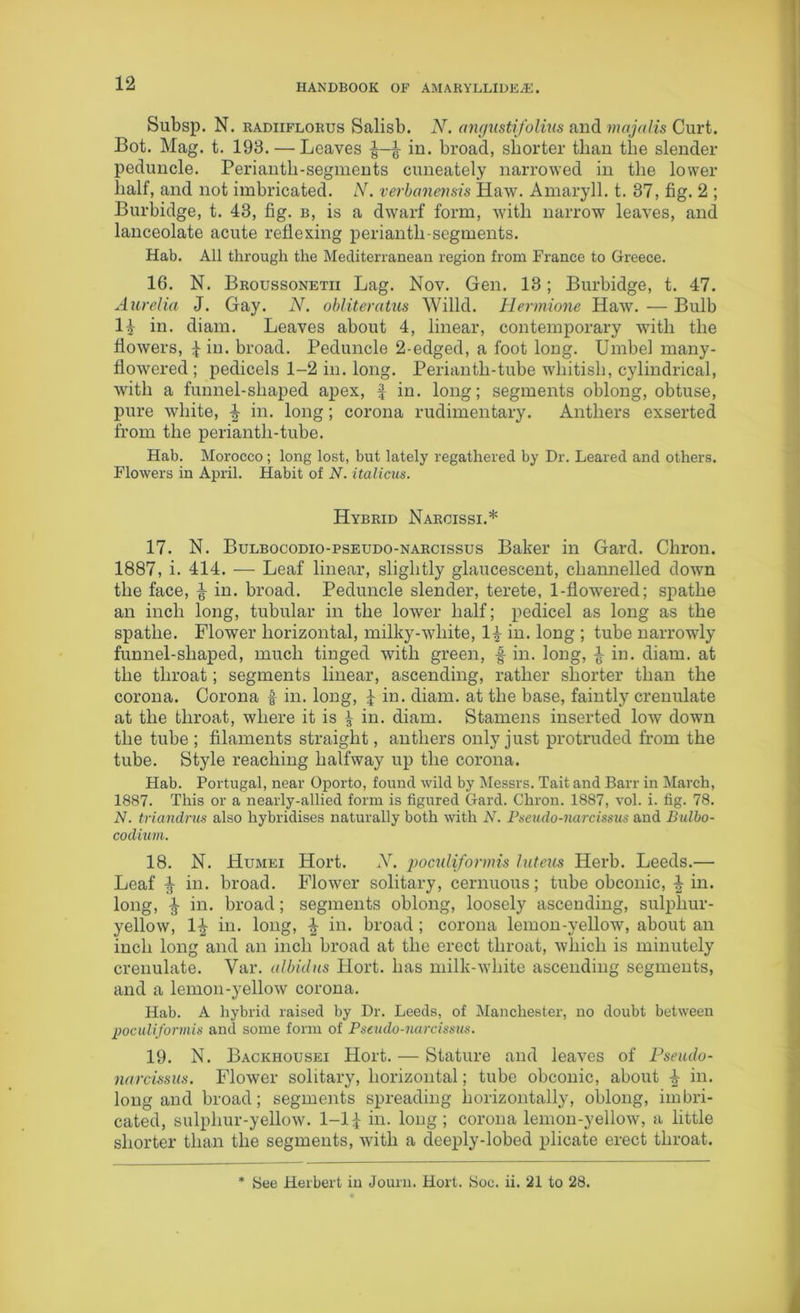 Subsp. N. radiiflorus Salisb. N. angustifolius and majalis Curt. Bot. Mag. t. 193. — Leaves J-J in. broad, shorter than the slender peduncle. Perianth-segments cuneately narrowed in the lower half, and not imbricated. N. verbanensis Haw. Amaryll. t. 37, fig. 2 ; Burbidge, t. 43, fig. b, is a dwarf form, with narrow leaves, and lanceolate acute reflexing perianth-segments. Hab. All through the Mediterranean region from France to Greece. 16. N. Broussonetii Lag. Nov. Gen. 13; Burbidge, t. 47. Aurelia J. Gay. N. obliteratus Willd. Hermione Haw. — Bulb 14 in. diam. Leaves about 4, linear, contemporary with the flowers, Jin. broad. Peduncle 2-edged, a foot long. Umbel many- flowered ; pedicels 1-2 in. long. Periantli-tube whitish, cylindrical, with a funnel-shaped apex, f in. long; segments oblong, obtuse, pure white, J in. long; corona rudimentary. Anthers exserted from the perianth-tube. Hab. Morocco ; long lost, but lately regathered by Dr. Leared and others. Flowers in April. Habit of N. italicus. Hybrid Narcissi.* 17. N. Bulbocodio-pseudo-narcissus Baker in Gard. Chron. 1887, i. 414. — Leaf linear, slightly glaucescent, channelled down the face, J in. broad. Peduncle slender, terete, 1-flowered; spathe an inch long, tubular in the lower half; pedicel as long as the spathe. Flower horizontal, milky-white, 14 in. long ; tube narrowly funnel-shaped, much tinged with green, f in. long, J in. diam. at the throat; segments linear, ascending, rather shorter than the corona. Corona f in. long, J in. diam. at the base, faintly crenulate at the throat, where it is J in. diam. Stamens inserted low down the tube ; filaments straight, anthers only just protruded from the tube. Style reaching halfway up the corona. Hab. Portugal, near Oporto, found wild by Messrs. Tait and Barr in March, 1887. This or a nearly-allied form is figured Gard. Chron. 1887, vol. i. fig. 78. N. triandrus also hybridises naturally both with N. Pseudo-narcissus and Bulbo- codium. 18. N. Humei Hort. N. poculiformis luteus Herb. Leeds.— Leaf J in. broad. Flower solitary, cernuous; tube obconic, Jin. long, J in. broad; segments oblong, loosely ascending, sulphur- yellow, 1J in. long, J in. broad ; corona lemon-yellow, about an inch long and an inch broad at the erect throat, which is minutely crenulate. Var. albidus Hort. has milk-white ascending segments, and a lemon-yellow corona. Hab. A hybrid raised by Dr. Leeds, of Manchester, no doubt between poculiformis and some form of Pseudo-narcissus. 19. N. Backhousei Hort. — Stature and leaves of Pseudo- narcissus. Flower solitary, horizontal; tube obconic, about J in. long and broad; segments spreading horizontally, oblong, imbri- cated, sulphur-yellow. 1-1J in. long; corona lemon-yellow, a little shorter than the segments, with a deeply-lobed plicate erect throat. * See Herbert in Journ. Hort. Soc. ii. 21 to 28.