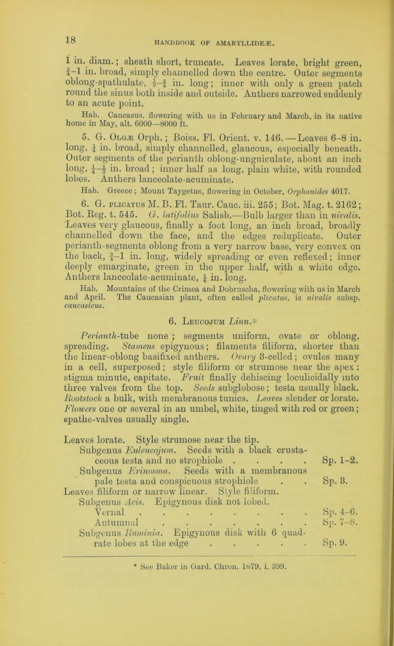 HANDBOOK OF AMABYLLIDEjE. 1 in. diam.; sheath short, truncate. Leaves lorate, bright green, f-1 in. broad, simply channelled down the centre. Outer segments oblong-spathulate, 4-f in. long; inner with only a green patch round the sinus both inside and outside. Anthers narrowed suddenly to an acute point. Hab. Caucasus, flowering with us in February and March, in its native home in May, alt. 0000—8000 ft. 5. G. OlgjE Orpli. ; Boiss. FI. Orient, v. 146.—Leaves 6-8 in. long, d hi. broad, simply channelled, glaucous, especially beneath. Outer segments of the perianth oblong-unguiculate, about an inch long, hi. broad; inner half as long, plain white, with rounded lobes. Anthers lanceolate-acuminate. Hab. Greece ; Mount Taygetus, flowering in October, Oiphanides 4017. 6. G. plicatus M. B. FI. Taur. Cauc. iii. 255; Bot. Mag. t. 2162 ; Bot. Reg. t. 545. Or. latifolius Salisb.—Bulb larger than in nivalis. Leaves very glaucous, finally a foot long, an inch broad, broadly channelled down the face, and the edges reduplicate. Outer perianth-segments oblong from a very narrow base, very convex on the back, £-1 in. long, widely spreading or even reflexed; inner deeply emarginate, green in the upper half, with a white edge. Anthers lanceolate-acuminate, 4 hi. long. Hab. Mountains of the Crimea and Dobruscha, flowering with us in March and April. The Caucasian plant, often called plicatus, is nivalis subsp. Caucasians. 6. Leucojum Linn.* Perianth-tube none ; segments uniform, ovate or oblong, spreading. Stamens epigynous; filaments filiform, shorter than the linear-oblong basifixed anthers. Ovary 3-celled ; ovules many in a cell, superposed; style filiform or strumose near the apex: stigma minute, capitate. Fruit finally dehiscing loculicidally into three valves from the top. Seeds subglobose; testa usually black. liuotstock a bulk, with membranous tunics. Leaves slender or lorate. Flowers one or several in an umbel, white, tinged with red or green; spathe-valves usually single. Leaves lorate. Style strumose near the tip. Subgenus Euleucojum. Seeds with a black crusta- ceous testa and no stropliiole .... Subgenus Erinosma. Seeds with a membranous pale testa and conspicuous stropliiole Leaves filiform or narrow linear. Style filiform. Subgenus Acis. Epigynous disk not lobed. Vernal ........ Autumnal ....... Subgenus liuminia. Epigynous disk with 6 quad- rate lobes at the edge . . . . . Sp. 1-2. Sp. 8. Sp. 4-6. Sp. 7-8. Sp. 9. See Baker in Gard. Chron. 1»79, i. 3'J‘J.