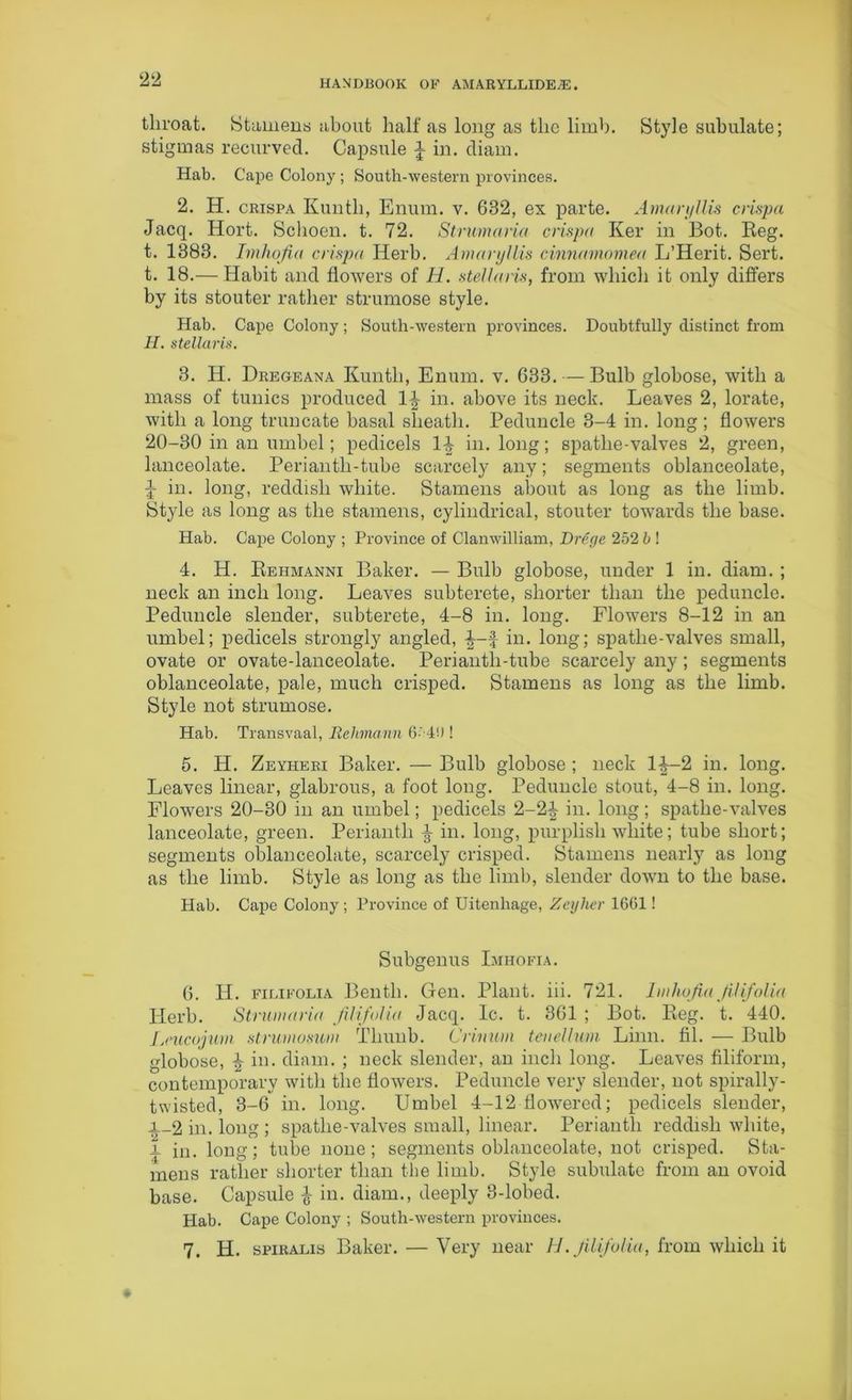 throat. Stamens about half as long as the limb. Style subulate; stigmas recurved. Capsule J in. diam. Hab. Cape Colony ; South-western provinces. 2. H. crispa Kunth, Enum. v. 632, ex parte. Amaryllis ciispa Jacq. Hort. Sclioen. t. 72. Struma via crispa Ker in Bot. Reg. t. 1383. Imhofia crispa Herb. Amaryllis cinnamomea L’Herit. Sert. t. 18.— Habit and flowers of H. stellaris, from which it only differs by its stouter rather strumose style. Hab. Cape Colony; South-western provinces. Doubtfully distinct from II. stellaris. 3. H. Dregeana Kunth, Enum. v. 633. — Bulb globose, with a mass of tunics produced 1^ in. above its neck. Leaves 2, lorate, with a long truncate basal sheath. Peduncle 3-4 in. long ; flowers 20-30 in an umbel; pedicels 1-| in. long; spatlie-valves 2, green, lanceolate. Periantli-tube scarcely any; segments oblanceolate, \ in. long, reddish white. Stamens about as long as the limb. Style as long as the stamens, cylindrical, stouter towards the base. Hab. Cape Colony ; Province of Clanwilliam, Drege 252 b ! 4. H. Rehmanni Baker. — Bulb globose, under 1 in. diam. ; neck an inch long. Leaves subterete, shorter than the peduncle. Peduncle slender, subterete, 4-8 in. long. Flowers 8-12 in an umbel; pedicels strongly angled, in. long; spatlie-valves small, ovate or ovate-lanceolate. Periantli-tube scarcely any; segments oblanceolate, pale, much crisped. Stamens as long as the limb. Style not strumose. Hab. Transvaal, Rehmann 6‘ 40 ! 5. H. Zeyheri Baker. — Bulb globose; neck 1^—2 in. long. Leaves linear, glabrous, a foot long. Peduncle stout, 4-8 in. long. Flowers 20-30 in an umbel; pedicels 2-2-| in. long; spatlie-valves lanceolate, green. Perianth i in. long, purplish white; tube short; segments oblanceolate, scarcely crisped. Stamens nearly as long as the limb. Style as long as the limb, slender down to the base. Hab. Cape Colony ; Province of Uitenhage, Zeyher 16(51! Subgenus Imhofia. 6. H. filifolia Bentli. Gen. Plant, iii. 721. Imhofia Jiltfolia Herb. Strum aria filifolia Jacq. Ic. t. 361 ; Bot. Reg. t. 440. Lnicojurn strumosum Tliunb. Crinum tenellum Linn. fil. — Bulb globose, \ in. diam. ; neck slender, an inch long. Leaves filiform, contemporary with the flowers. Peduncle very slender, not spirally- twisted, 3-6 in. long. Umbel 4-12 flowered; pedicels slender, i_2 in. long ; spatlie-valves small, linear. Perianth reddish white, i in. long; tube none; segments oblanceolate, not crisped. Sta- mens rather shorter than the limb. Style subulate from an ovoid base. Capsule £ in. diam., deeply 3-lobed. Hab. Cape Colony ; South-western provinces. 7. H. spiralis Baker. — Very near H. filifolia, from which it