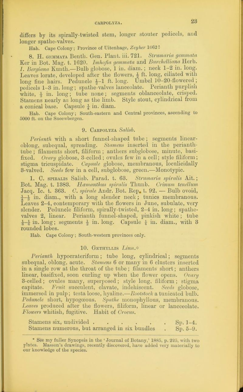 CARPOLYZA. differs by its spirally-twisted stem, longer stouter pedicels, and longer spatbe-valves. Hab. Cape Colony; Province of Uitenhage, Zeyher 1(J62 ! 8. H. gemmata Bentli. Gen. Plant, iii. 721. Strumaria gemmata Ker in Pot. Mag. t. 1620. Imhojia gemmata and Bure he11iana Herb. 1. Bergiana Kuntli.—Bulb globose, 1 in. diam.; neck 1-2 in. long. Leaves lorate, developed after the flowers, £ ft. long, ciliated with long fine hairs. Peduncle 1 ft. long. Umbel 10-20-fiowered ; pedicels 1-8 in. long ; spatlie-valves lanceolate. Perianth purplish white, in. long; tube none; segments oblanceolate, crisped. Stamens nearly as long as the limb. Style stout, cylindrical from a conical base. Capsule in. diam. Hab. Cape Colony; South-eastern and Central provinces, ascending to 5000 ft. on the Sneewbergen. 9. Carpolyza Salisb. Perianth with a short funnel-shaped tube ; segments linear- oblong, subequal, spreading. Stamens inserted in the perianth- tube ; filaments short, filiform ; anthers subglobose, minute, basi- fixed. Ovary globose, 3-celled; ovules few in a cell; style filiform; stigma tricuspidate. Capsule globose, membranous, loculicidally 3-valved. Seeds few in a cell, subglobose, green.—Monotypic. 1. C. spiralis Salisb. Parad. t. 63. Strumaria spiralis Ait.; Bot. Mag. t. 1388. Hcemanthus spiralis Thunb. Crinum tenellum Jacq. Ic. t. 363. C. spirale Andr. Bot. Rep» t. 92. — Bulb ovoid, i-1 in. diam., with a long slender neck; tunics membranous. Leaves 2-4, contemporary with the flowers in June, subulate, very slender. Peduncle filiform, spirally-twisted, 2-4 in. long; spatlie- valves 2, linear. Perianth funnel-shaped, pinkish white; tube ^ in. long; segments ^ in. long. Capsule £ in. diam., with 3 rounded lobes. Hab. Cape Colony; South-western provinces only. 10. Gethyllis Linn.* Perianth liypocrateriform; tube long, cylindrical; segments subequal, oblong, acute. Stamens 6 or many in 6 clusters inserted in a single row at the throat of the tube ; filaments short; anthers linear, basifixed, soon curling up when the flower opens. Ovary 3-celled; ovules many, superposed; style long, filiform ; stigma capitate. Fruit succulent, clavate, indehiscent. Seeds globose, immersed in pulp; testa loose, hyaline.—Rootstock a tunicated bulb. Peduncle short, liypogoeous. Spatlie monophyllous, membranous. Leaves produced after the flowers, filiform, linear or lancceolate. Flowers whitish, fugitive. Habit of Crocus. Stamens six, undivided ...... Sp. 1-4. Stamens numerous, but arranged in six bundles . Sp. 5-9. * See my fuller Synopsis in the ‘ Journal of Botany,’ 1885, p. 225, with two plates. Masson’s drawings, recently discovered, have added very materially to our knowledge of the species.