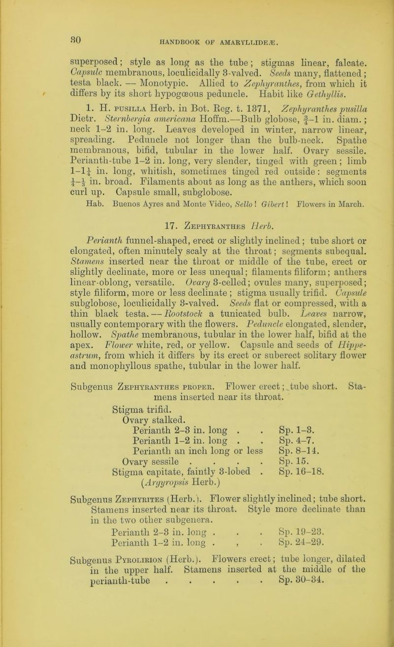 80 superposed; style as long as tlie tube; stigmas linear, falcate. Capsule membranous, loculicidally 3-valved. Seeds many, flattened ; testa black. — Monotypic. Allied to Zephyranthes, from which it differs by its short hypogoeous peduncle. Habit like Gethyllis. 1. H. pusilla Herb, in Bot. Reg. t. 1371, Zephyranthes pusilla Dietr. Sternbergia americcina Hoffm.—Bulb globose, f-1 in. diam.; neck 1-2 in. long. Leaves developed in winter, narrow linear, spreading. Peduncle not longer than the bulb-neck. Spathe membranous, bifid, tubular in the lower half. Ovary sessile. Perianth-tube 1-2 in. long, very slender, tinged with green; limb 1-1^ in. long, whitish, sometimes tinged red outside: segments £-3 iw. broad. Filaments about as long as the anthers, which soon curl up. Capsule small, subglobose. Hab. Buenos Ayres ancl Monte Video, Sello ! Gihert! Flowers in March. 17. Zephyranthes Herb. Perianth funnel-shaped, erect or slightly inclined ; tube short or elongated, often minutely scaly at the throat; segments subequal. Stamens inserted near the throat or middle of the tube, erect or slightly decimate, more or less unequal; filaments filiform; anthers linear-oblong, versatile. Ovary 3-celled; ovules many, superposed; style filiform, more or less decimate ; stigma usually trifid. Capsule subglobose, loculicidally 3-valved. Seeds flat or compressed, with a thin black testa. — Rootstock a tunicated bulb. Leaves narrow, usually contemporary with the flowers. Peduncle elongated, slender, hollow. Spathe membranous, tubular in the lower half, bifid at the apex. Flower white, red, or yellow. Capsule and seeds of Hippe- astrurn, from which it differs by its erect or suberect solitary flower and monophyllous spathe, tubular in the lower half. Subgenus Zephyranthes proper. Flower erect; tube short. mens inserted near its throat. Stigma trifid. Ovary stalked. Perianth 2-3 in. long . Perianth 1-2 in. long . Perianth an inch long or less Ovary sessile . . . . Stigma capitate, faintly 3-lobed . (Aryyropsis Herb.) Sp. 1-3. Sp. 4-7. Sp. 8-14. Sp. 15. Sp. 16-18. Sta- Subgenus Zephyrites (Herb.). Flower slightly inclined; tube short. Stamens inserted near its throat. Style more decimate than in the two other subgenera. Perianth 2-3 in. long . . . Sp. 19-23. Perianth 1-2 in. long . , . Sp. 24-29. Subgenus Pyrolirion (Herb.). Flowers erect; tube longer, dilated in the upper half. Stamens inserted at the middle of the perianth-tube ..... Sp. 30-34.