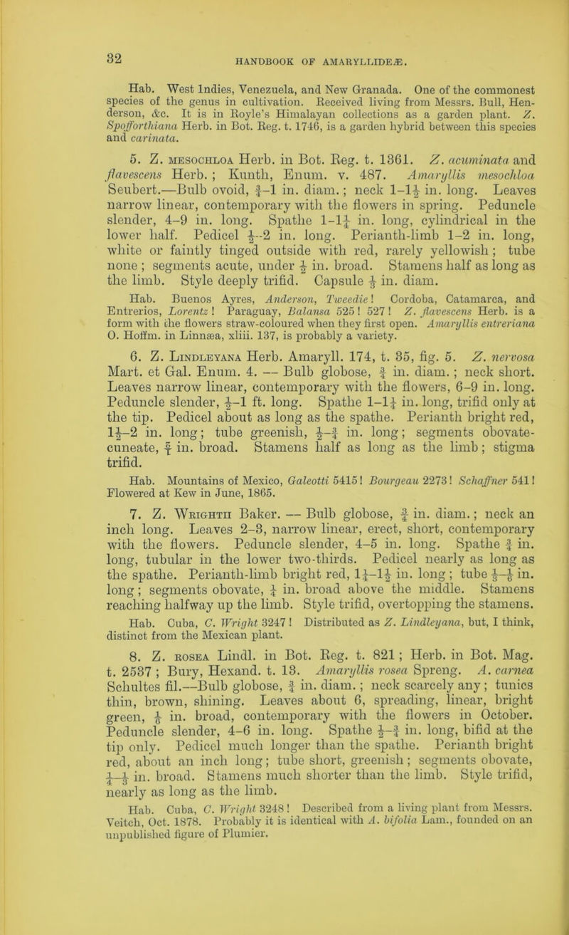 Hab. West Indies, Venezuela, and New Granada. One of the commonest species of the genus in cultivation. Deceived living from Messrs. Bull, Hen- derson, &c. It is in Boyle’s Himalayan collections as a garden plant. Z. Spofforthiana Herb, in Bot. Beg. t. 1746, is a garden hybrid between this species and carinata. 5. Z. mesochloa Herb. in Bot. Reg. t. 1361. Z. acuminata and flavescens Herb. ; Kuntli, Enum. v. 487. Amaryllis mesochloa Seubert.—Bulb ovoid, f-l in. diam.; neck l-l^ in. long. Leaves narrow linear, contemporary with the flowers in spring. Peduncle slender, 4-9 in. long. Spatlie 1-14 in. long, cylindrical in the lower half. Pedicel 2 in. long. Perianth-limb 1-2 in. long, white or faintly tinged outside with red, rarely yellowish ; tube none ; segments acute, under £ in. broad. Stamens half as long as the limb. Style deeply trifid. Capsule ^ in. diam. Hab. Buenos Ayres, Anderson, Tweedie! Cordoba, Catamarca, and Entrerios, Lorentz ! Paraguay, Balansa 525 ! 527 ! Z. flavescens Herb, is a form with the flowers straw-coloured when they first open. Amaryllis entreriana 0. Hoft'm. in Linmea, xliii. 137, is probably a variety. 6. Z. Lindleyana Herb. Amaryll. 174, t. 35, fig. 5. Z. nervosa Mart, et Gal. Enum. 4. — Bulb globose, 4 in. diam. ; neck short. Leaves narrow linear, contemporary with the flowers, 6-9 in. long. Peduncle slender, ^-1 ft. long. Spatlie 1-14 in. long, trifid only at the tip. Pedicel about as long as the spatlie. Perianth bright red, 14-2 in. long; tube greenish, |--4 in. long; segments obovate- cuneate, f in. broad. Stamens half as long as the limb; stigma trifid. Hab. Mountains of Mexico, Galeotti 5415! Bourgeau 2273! Schafl'ner 541! Flowered at Kew in June, 1865. 7. Z. Wrightii Baker. — Bulb globose, f in. diam.; neck an inch long. Leaves 2-3, narrow linear, erect, short, contemporary with the flowers. Peduncle slender, 4-5 in. long. Spatlie 4 in. long, tubular in the lower two-tliirds. Pedicel nearly as long as the spatlie. Perianth-limb bright red, 1^—1^ in. long ; tube 4 in. long; segments obovate, 4 in. broad above the middle. Stamens reaching halfway up the limb. Style trifid, overtopping the stamens. Hab. Cuba, C. Wright 3247 ! Distributed as Z. Lindleyana, but, I think, distinct from the Mexican plant. 8. Z. rosea Lindl. in Bot. Reg. t. 821; Herb, in Bot. Mag. t. 2537 ; Bury, Hexand. t. 13. Amaryllis rosea Spreng. A. cornea Schultes fil.—Bulb globose, f in. diam.; neck scarcely any ; tunics thin, brown, shining. Leaves about 6, spreading, linear, bright green, 4 in. broad, contemporary with the flowers in October. Peduncle slender, 4-6 in. long. Spatlie £-f in. long, bifid at the tip only. Pedicel much longer than the spatlie. Perianth bright red, about an inch long; tube short, greenish; segments obovate, i-i in. broad. Stamens much shorter than the limb. Style trifid, nearly as long as the limb. Hab. Cuba, C. Wright 3248 ! Described from a living plant from Messrs. Veitch, Oct. 1878. Probably it is identical with A. bifolia Lam., founded on an unpublished figure of Plunder,