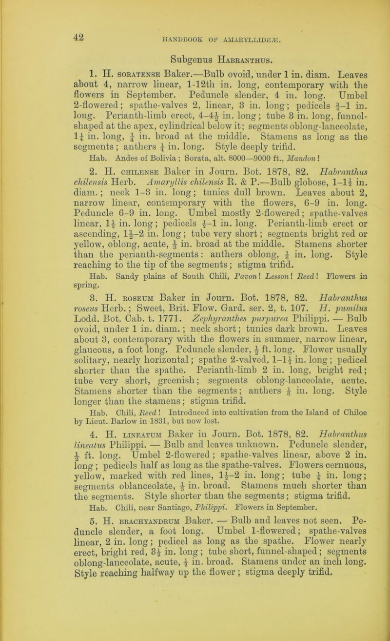 Subgcnus Habranthus. 1. H. soratense Baker.—Bulb ovoid, under 1 in. diam. Leaves about 4, narrow linear, l-12tli in. long, contemporary with the flowers in September. Peduncle slender, 4 in. long. Umbel 2-flowered; spathe-valves 2, linear, 3 in. long; pedicels f-1 in. long. Perianth-limb erect, 4-4£ in. long; tube 3 in. long, funnel- shaped at the apex, cylindrical below it; segments oblong-lanceolate, lb in. long, J in. broad at the middle. Stamens as long as the segments ; anthers b in. long. Style deeply trifid. Hab. Andes of Bolivia ; Sorata, alt. 8000—9000 ft., Mandonl 2. H. chilense Baker in Journ. Bot. 1878, 82. Habranthus chilensis Herb. Amaryllis chilensis K. & P.—Bulb globose, 1-lb in. diam. ; neck 1-3 in. long; tunics dull brown. Leaves about 2, narrow linear, contemporary with the flowers, 6-9 in. long. Peduncle 6-9 in. long. Umbel mostly 2-flowered; spathe-valves linear, lb in. long; pedicels b~l in. long. Perianth-limb erect or ascending, lb-2 in. long; tube very short; segments bright red or yellow, oblong, acute, b in. broad at the middle. Stamens shorter than the perianth-segments: anthers oblong, b in. long. Style reaching to the tip of the segments; stigma trifid. Hab. Sandy plains of South Chili, Pavon! Lesson! Reed! Flowers in spring. 3. H. roseum Baker in Journ. Bot. 1878, 82. Habranthus roseus Herb.; Sweet, Brit. Flow. Gard. ser. 2, t. 107. 11. pumilus Lodd. Bot. Cab. t. 1771. Zephyranthes purpurea Philippi. — Bulb ovoid, under 1 in. diam. ; neck short; tunics dark brown. Leaves about 3, contemporary with the flowers in summer, narrow linear, glaucous, a foot long. Peduncle slender, b ft. long. Flower usually solitary, nearly horizontal; spatlie 2-valved, 1-14 in. long ; pedicel shorter than the spatlie. Perianth-limb 2 in. long, bright red; tube very short, greenish; segments oblong-lanceolate, acute. Stamens shorter than the segments; anthers b in. long. Style longer than the stamens ; stigma trifid. Hab. Chili, Reed ! Introduced into cultivation from the Island of Chiloe by Lieut. Barlow in 1831, but now lost. 4. H. lineatum Baker in Journ. Bot. 1878, 82. Habranthus lineatus Philippi. — Bulb and leaves unknown. Peduncle slender, b ft. long. Umbel 2-flowered; spathe-valves linear, above 2 in. long ; pedicels half as long as the spathe-valves. Flowers cernuous, yellow, marked with red lines, lb-2 in. long; tube b in. long; segments oblanceolate, b in- broad. Stamens much shorter than the segments. Style shorter than the segments; stigma trifid. Hab. Chili, near Santiago, Philippi. Flowers in September. 5. H. brachyandrum Baker. — Bulb and leaves not seen. Pe- duncle slender, a foot long. Umbel 1-flowered; spathe-valves linear, 2 in. long; pedicel as long as the spatlie. Flower nearly erect, bright red, 3b in. long ; tube short, funnel-shaped ; segments oblong-lanceolate, acute, b in. broad. Stamens under an inch long. Style reaching halfway up the flower; stigma deeply trifid.
