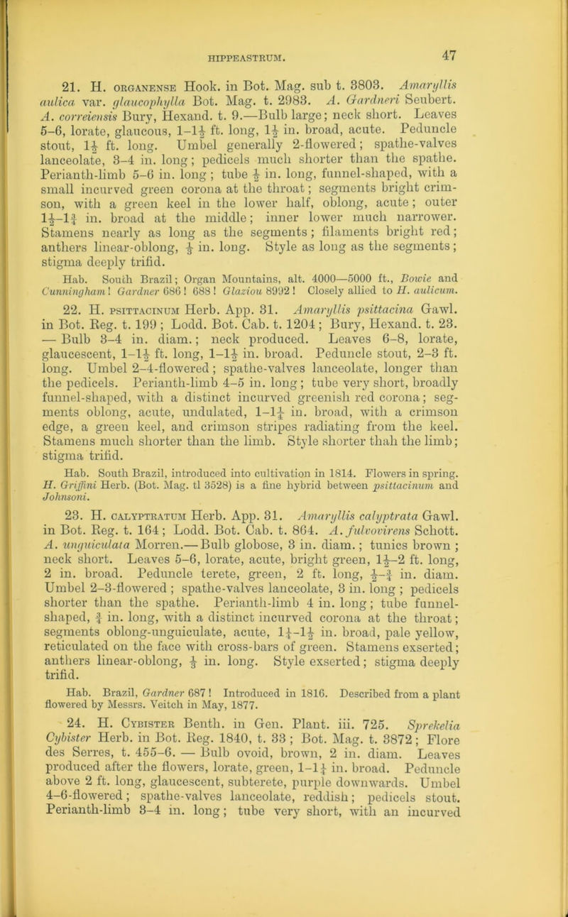 21. H. okganense Hook. in Bot. Mag. sub t. 3803. Amaryllis aalica var. glaucophylla Bot. Mag. t. 2983. A. Gardneri Seubert. A. correievsis Bury, Hexand. t. 9.—Bulb large; neck short. Leaves 5-6, lorate, glaucous, l-l-£ ft. long, 1|- in. broad, acute. Peduncle stout, ft. long. Umbel generally 2-flowered; spatlie-valves lanceolate, 3-4 in. long; pedicels much shorter than the spatlie. Periantli-limb 5-6 in. long ; tube ^ in. long, funnel-shaped, with a small incurved green corona at the throat; segments bright crim- son, with a green keel in the lower half, oblong, acute ; outer 1£- l£ in. broad at the middle; inner lower much narrower. Stamens nearly as long as the segments ; filaments bright red; anthers linear-oblong, ^ in. long. Style as long as the segments; stigma deeply trifid. Hab. South Brazil; Organ Mountains, alt. 4000—5000 ft., Bowie and Cunningham ! Gardner 686 ! 688 ! Glaziou 8992 ! Closely allied to 11. aulicum. 22. H. psittacinum Herb. App. 31. Amaryllis psittacina Gawl. in Bot. Reg. t. 199 ; Lodd. Bot. Cab. t. 1204 ; Bury, Hexand. t. 23. — Bulb 3-4 in. diam.; neck produced. Leaves 6-8, lorate, glaucescent, 1-lJj- ft. long, 1-1^ in. broad. Peduncle stout, 2-3 ft. long. Umbel 2-4-flowered ; spathe-valves lanceolate, longer than the pedicels. Perianth-limb 4-5 in. long; tube very short, broadly funnel-shaped, with a distinct incurved greenish red corona; seg- ments oblong, acute, undulated, 1-1£ in. broad, with a crimson edge, a green keel, and crimson stripes radiating from the keel. Stamens much shorter than the limb. Style shorter thah the limb; stigma trifid. Hab. South Brazil, introduced into cultivation in 1814. Flowers in spring. H. Griffini Herb. (Bot. Mag. tl 8528) is a tine hybrid between psittacinum and Johmoni. 23. H. calyptkatum Herb. App. 31. Amaryllis calyptrata Gawl. in Bot. Reg. t. 164; Lodd. Bot. Cab. t. 864. A. fulvovirens Schott. A. unguiculata Morren.— Bulb globose, 3 in. diam.; tunics brown ; neck short. Leaves 5-6, lorate, acute, bright green, 1^—2 ft. long, 2 in. broad. Peduncle terete, green, 2 ft. long, i-£ in. diam. Umbel 2-8-flowered ; spathe-valves lanceolate, 3 in. long ; pedicels shorter than the spatlie. Perianth-limb 4 in. long; tube funnel- shaped, £ in. long, with a distinct incurved corona at the throat; segments oblong-unguiculate, acute, l£-li in. broad, pale yellow, reticulated on the face with cross-bars of green. Stamens exserted; anthers linear-oblong, ^ in. long. Style exserted; stigma deeply trifid. Hab. Brazil, Gardner 687 ! Introduced in 1816. Described from a plant flowered by Messrs. Veitch in May, 1877. 24. H. Cybister Benth. in Gen. Plant, iii. 725. Sprekelia Cyhister Herb, in Bot. Reg. 1840, t. 33 ; Bot. Mag. t. 3872; Flore des Serres, t. 455-6. — Bulb ovoid, brown, 2 in. diam. Leaves produced after the flowers, lorate, green, 1-1 £ in. broad. Peduncle above 2 ft. long, glaucescent, subterete, purple downwards. Umbel 4-6-flowered; spathe-valves lanceolate, reddish; pedicels stout. Perianth-limb 3-4 in. long; tube very short, with an incurved