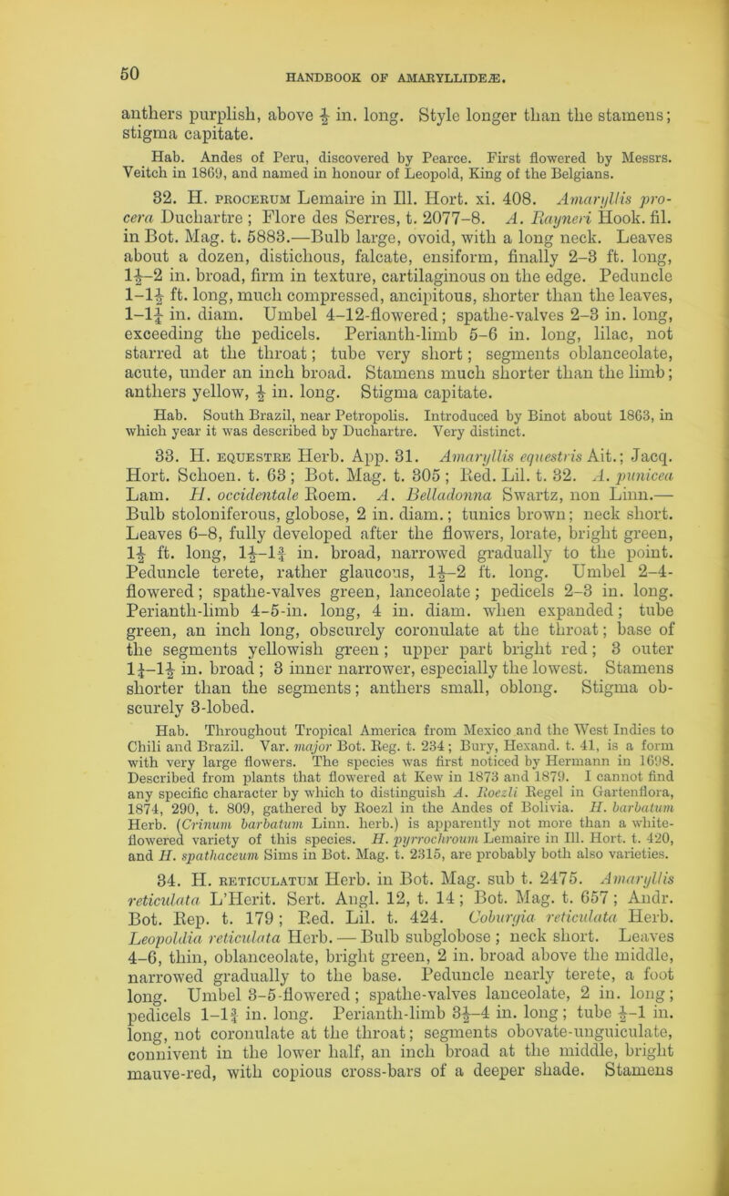 anthers purplish, above f- in. long. Style longer than the stamens; stigma capitate. Hab. Andes of Peru, discovered by Pearce. First flowered by Messrs. Veitch in 1869, and named in honour of Leopold, King of the Belgians. 82. H. procerum Lemaire in 111. Hort. xi. 408. Amaryllis pro- cera Duchartre ; Flore des Serres, t. 2077-8. A. Rayneri Hook. fil. in Bot. Mag. t. 5888.—Bulb large, ovoid, with a long neck. Leaves about a dozen, distichous, falcate, ensiform, finally 2-3 ft. long, If—2 in. broad, firm in texture, cartilaginous on the edge. Peduncle 1-lf ft. long, much compressed, ancipitous, shorter than the leaves, 1-lf in. diam. Umbel 4-12-flowered; spatlie-valves 2-3 in. long, exceeding the pedicels. Perianth-limb 5-6 in. long, lilac, not starred at the throat; tube very short; segments oblanceolate, acute, under an inch broad. Stamens much shorter than the limb; anthers yellow, f in. long. Stigma capitate. Hab. South Brazil, near Petropolis. Introduced by Binot about 1863, in which year it was described by Duchartre. Very distinct. 33. H. equestre Herb. App. 31. Amaryllis equestris Ait.; Jacq. Hort. Sclioen. t. 63 ; Bot. Mag. t. 305 ; lied. Lil. t. 32. A. punicea Lam. H. occidentale Boem. A. Belladonna Swartz, non Linn.— Bulb stoloniferous, globose, 2 in. diam.; tunics brown; neck short. Leaves 6-8, fully developed after the flowers, lorate, bright green, If ft. long, If—If in. broad, narrowed gradually to the point. Peduncle terete, rather glaucous, If—2 ft. long. Umbel 2-4- flowered; spatlie-valves green, lanceolate; pedicels 2-3 in. long. Periantli-limb 4-5-in. long, 4 in. diam. when expanded; tube green, an inch long, obscurely coronulate at the throat; base of the segments yellowish green ; upper part bright red; 3 outer lf-lf in. broad ; 3 inner narrower, especially the lowest. Stamens shorter than the segments; anthers small, oblong. Stigma ob- scurely 3-lobed. Hab. Throughout Tropical America from Mexico and the West Indies to Chili and Brazil. Var. major Bot. Beg. t. 234; Bury, Hexand. t. 41, is a form with very large flowers. The species was first noticed by Hermann in 1698. Described from plants that flowered at Kew in 1873 and 1879. I cannot find any specific character by which to distinguish A. Eoezli Begel in Gartenflora, 1874, 290, t. 809, gathered by Boezl in the Andes of Bolivia. H. barbatum Herb. (Crinum barbatum Linn, herb.) is apparently not more than a white- flowered variety of this species. H. pyrrochroum Lemaire in 111. Hort. t. 420, and H. spathaceum Sims in Bot. Mag. t. 2315, are probably both also varieties. 34. H. reticulatum Herb, in Bot. Mag. sub t.. 2475. Amaryllis reticulata L’Herit. Sert. Angl. 12, t. 14; Bot. Mag. t. 657 ; Andr. Bot. Rep. t. 179 ; Red. Lil. t. 424. Coburgia reticulata Herb. Leopohlia reticulata Herb. — Bulb subglobose ; neck short. Leaves 4-6, thin, oblanceolate, bright green, 2 in. broad above the middle, narrowed gradually to the base. Peduncle nearly terete, a foot long. Umbel 8-5-flowered; spatlie-valves lanceolate, 2 in. long; pedicels 1-lf in. long. Perianth-limb 3f-4 in. long; tube f-1 in. long, not coronulate at the throat; segments obovate-unguiculate, connivent in the lower half, an inch broad at the middle, bright mauve-red, with copious cross-bars of a deeper shade. Stamens