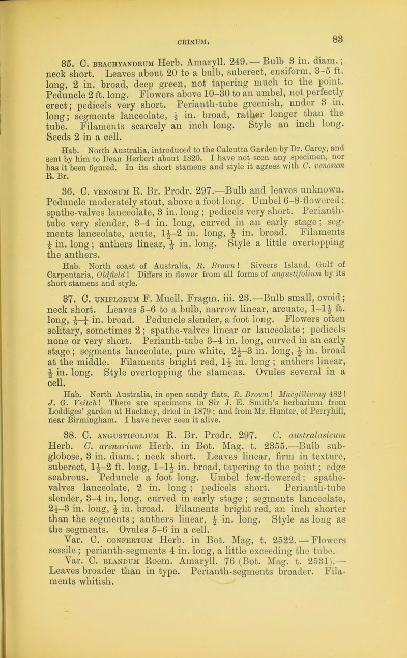 35. C. brachyandrum Herb. Amaryll. 249. — Bulb 3 in. diam.; neck short. Leaves about 20 to a bulb, suberect, ensiform, 3-5 ft. long, 2 in. broad, deep green, not tapering much to the point. Peduncle 2 ft. long. Flowers above 10-30 to an umbel, not perfectly erect; pedicels very short. Periantli-tube greenish, under 3 in. long; segments lanceolate, £ in. broad, rather longer than the tube. Filaments scarcely an inch long. Style an inch long. Seeds 2 in a cell. Hab. North Australia, introduced to the Calcutta Garden by Dr. Carey, and sent by him to Dean Herbert about 1820. I have not seen any specimen, nor has it been figured. In its short stamens and style it agrees with G. venosum R. Br. 3G. C. venosum R. Br. Prodr. 297.—Bulb and leaves unknown. Peduncle moderately stout, above a foot long. Umbel 6-8-flowered; spatlie-valves lanceolate, 3 in. long ; pedicels very short. Perianth- tube very slender, 3-4 in. long, curved in an early stage; seg- ments lanceolate, acute, lf-2 in. long, ^ in. broad. Filaments | in. long; anthers linear, ^ in. long. Style a little overtopping the anthers. Hab. North coast of Australia, It. Brown! Siveers Island, Gulf of Carpentaria, Oldfield 1 Differs in fiower from all forms of angustifolium by its short stamens and style. 37. C. uniflorum F. Muell. Fragm. iii. 23.—Bulb small, ovoid; neck short. Leaves 5-6 to a bulb, narrow linear, arcuate, 1-1£ ft. long, A-J in. broad. Peduncle slender, a foot long. Flowers often solitary, sometimes 2 ; spathe-valves linear or lanceolate ; pedicels none or very short. Perianth-tube 3-4 in. long, curved in an early stage; segments lanceolate, pure white, 2^-3 in. long, £ in. broad at the middle. Filaments bright red, 1^ in. long ; anthers linear, \ in. long. Style overtopping the stamens. Ovules several in a cell. Hab. North Australia, in open sandy flats, It. Broivn! Macgillivray 482! J. G. Veitchl There are specimens in Sir J. E. Smith’s herbarium from Loddiges’ garden at Hackney, dried in 1879 ; and from Mr. Hunter, of Perryhill, near Birmingham. I have never seen it alive. 38. 0. angustifolium R. Br. Prodr. 297. C. australasicum Herb. C. armarium Herb, in Bot. Mag. t. 2355.—Bulb sub- globose, 3 in. diam.; neck short. Leaves linear, firm in texture, suberect, 1|~2 ft. long, 1-1£ in. broad, tapering to the point; edge scabrous. Peduncle a foot long. Umbel few-flowered; spathe- valves lanceolate, 2 in. long ; pedicels short. Perianth-tube slender, 3-4 in, long, curved in early stage ; segments lanceolate, 24-3 in. long, ^ in. broad. Filaments bright red, an inch shorter than the segments; anthers linear, ^ in. long. Style as long as the segments. Ovules 5-6 in a cell. Yar. C. confertum Herb, in Bot. Mag, t. 2522. — Flowers sessile; perianth-segments 4 in. long, a little exceeding the tube. Var. C. blandum Room. Amaryll. 76 (Bot. Mag. t. 2531).—■ Leaves broader than in type. Perianth-segments broader. Fila- ments whitish.